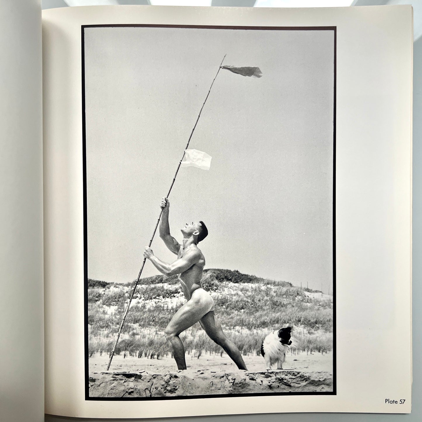 OUT OF THE STUDIO.TOM BIANCHI