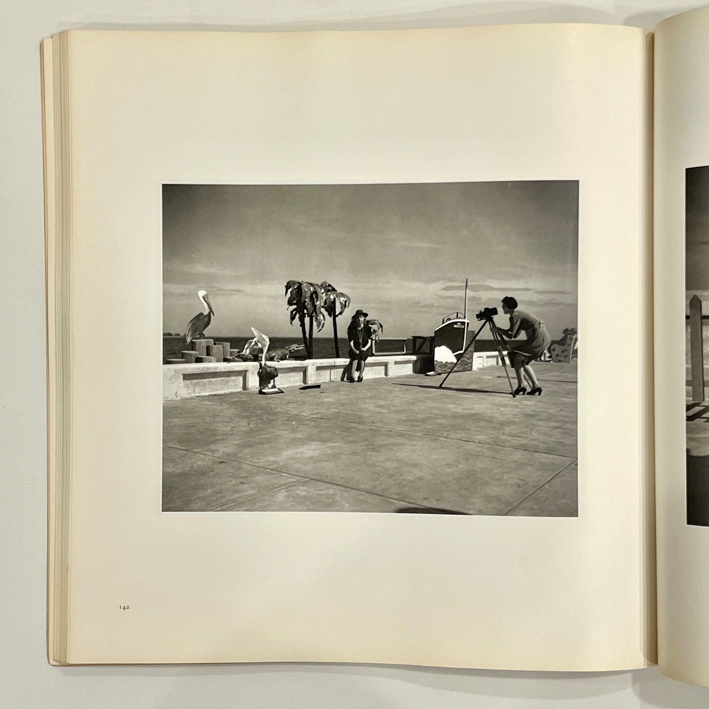 WALKER EVANS FIRST AND LAST FIRST EDITION 1978 softcover
