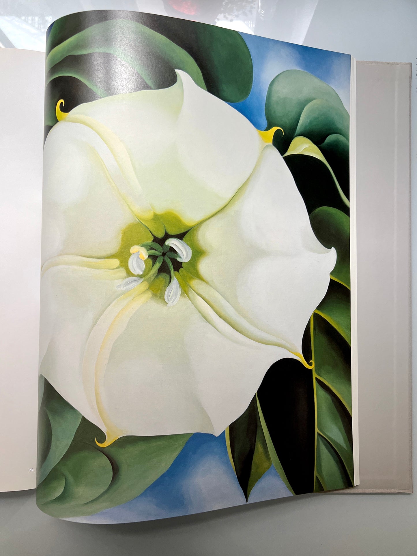 GEORGIA O’KEEFFE 100 FLOWERS