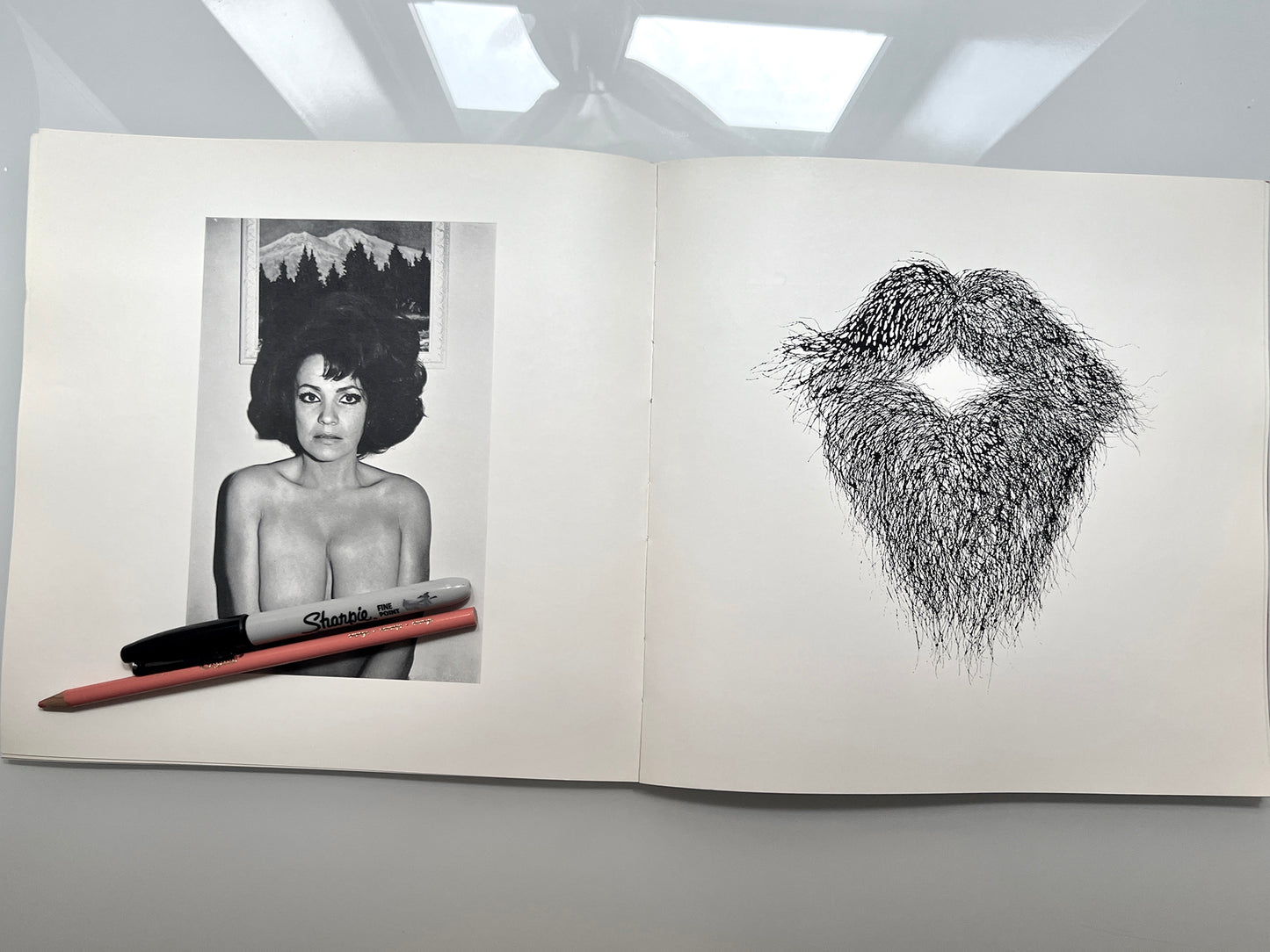 WORK FROM THE SAME HOUSE.LEE FRIEDLANDER & JIM DINE
