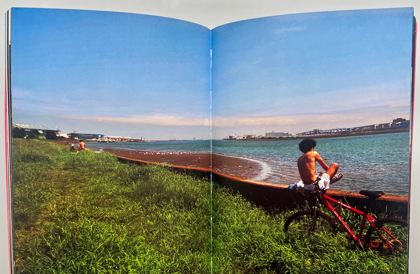 HOW I TAKE PHOTOGRAPHS DAIDO MORIYAMI
