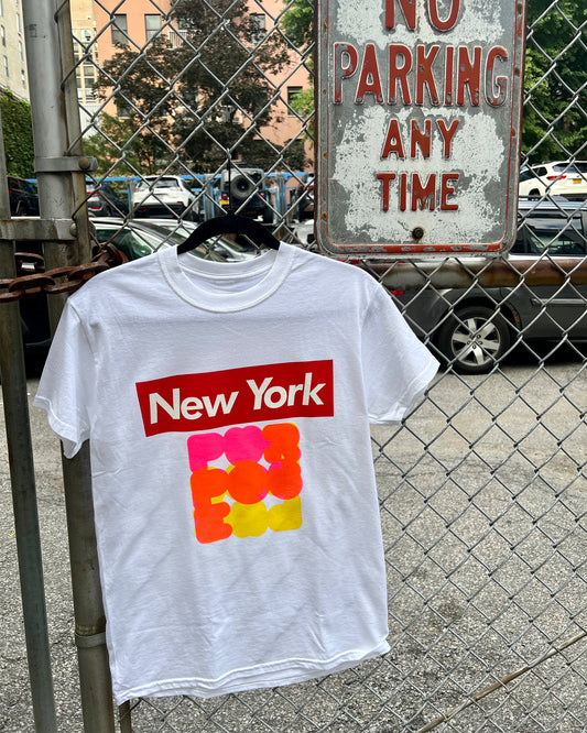 TOURIST PURPOSE EDITION