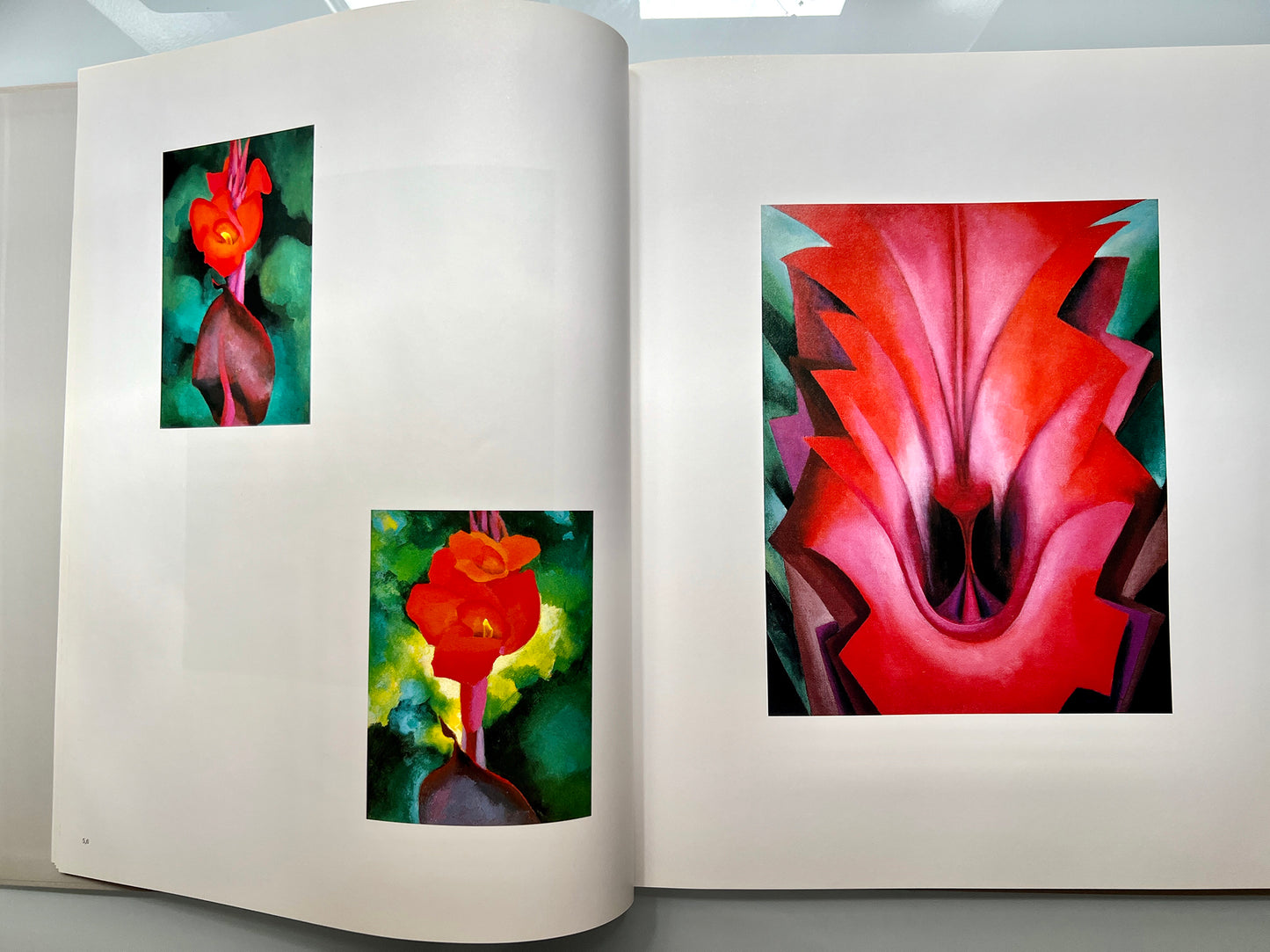 GEORGIA O’KEEFFE 100 FLOWERS