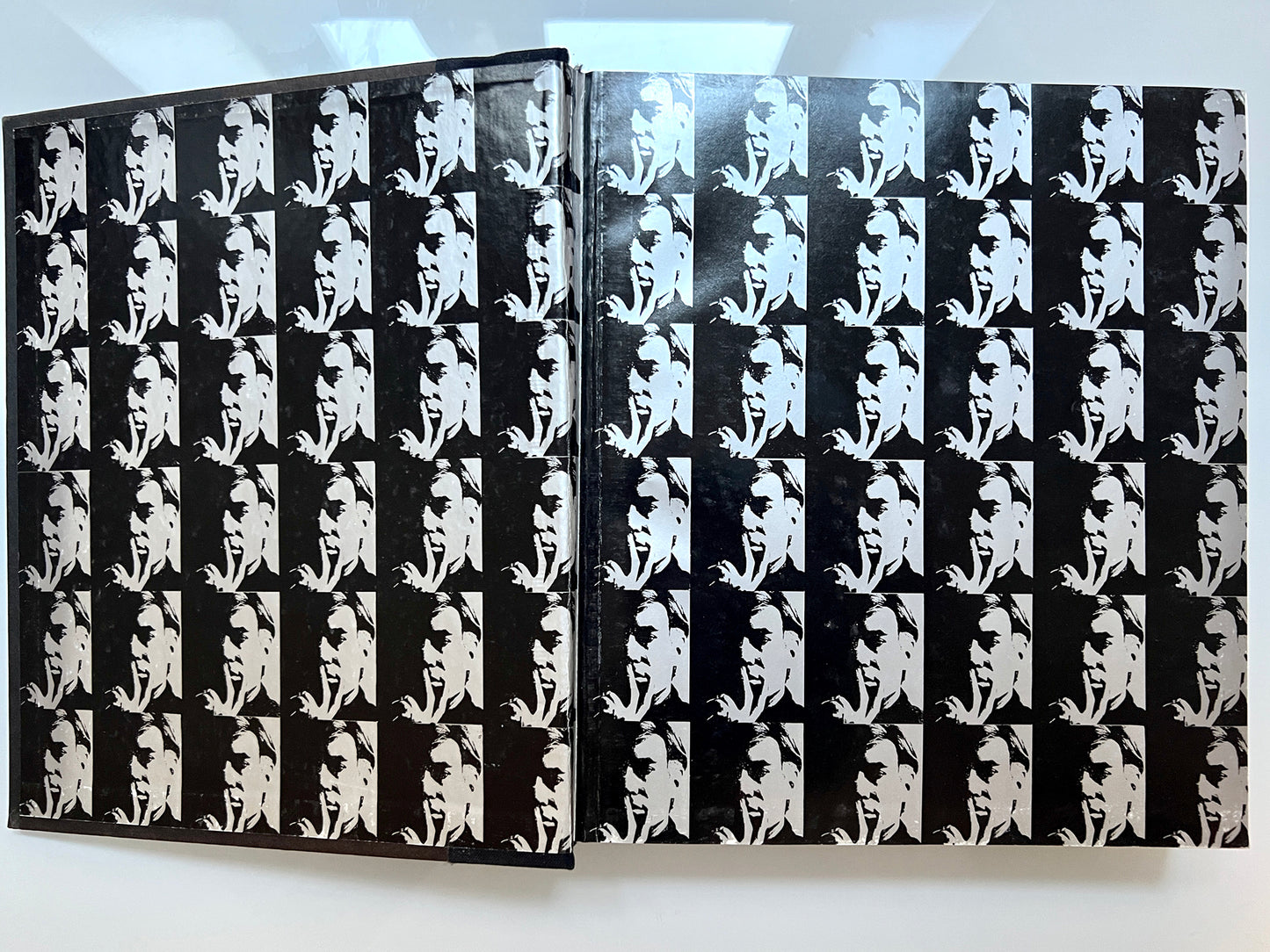 ANDY WARHOL DIARIES FIRST EDITION FIRST PRINTING