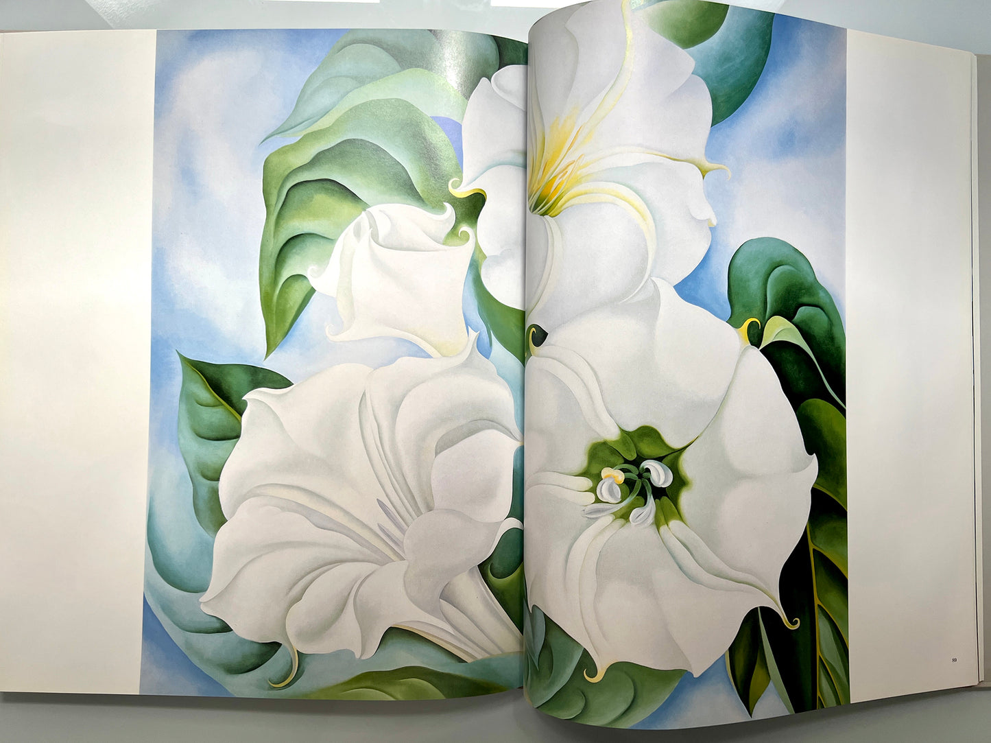 GEORGIA O’KEEFFE 100 FLOWERS