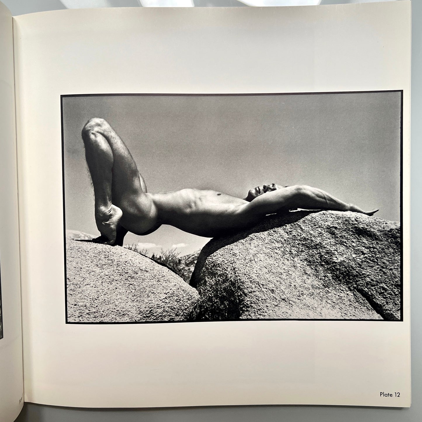 OUT OF THE STUDIO.TOM BIANCHI