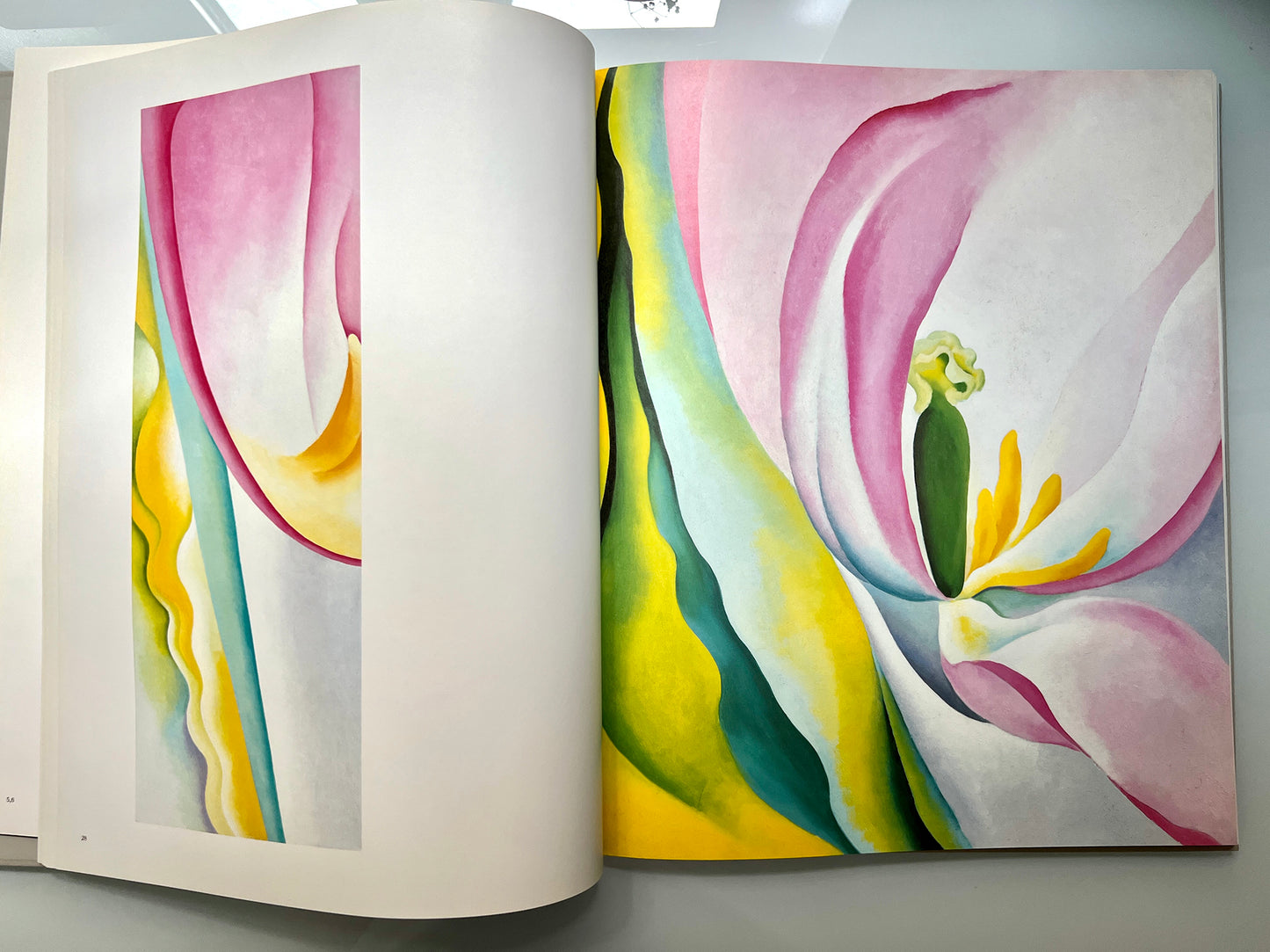 GEORGIA O’KEEFFE 100 FLOWERS
