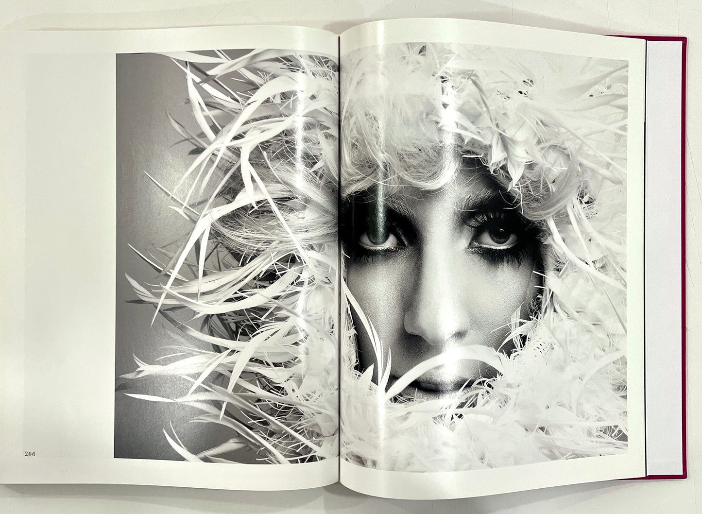 PHILIP TREACY