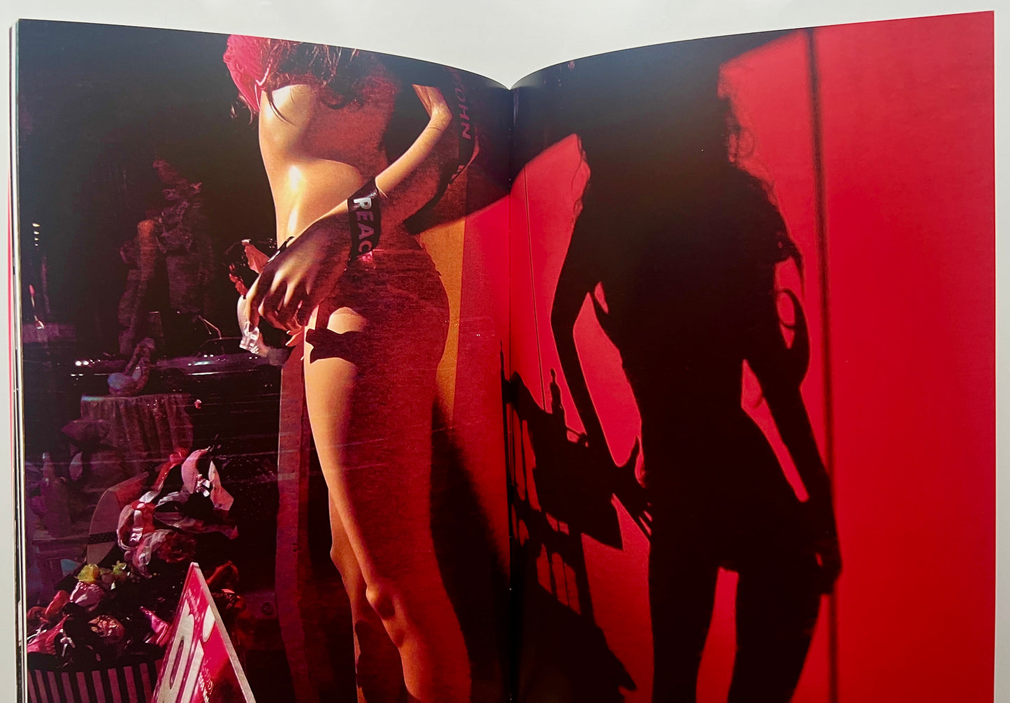 HOW I TAKE PHOTOGRAPHS DAIDO MORIYAMI