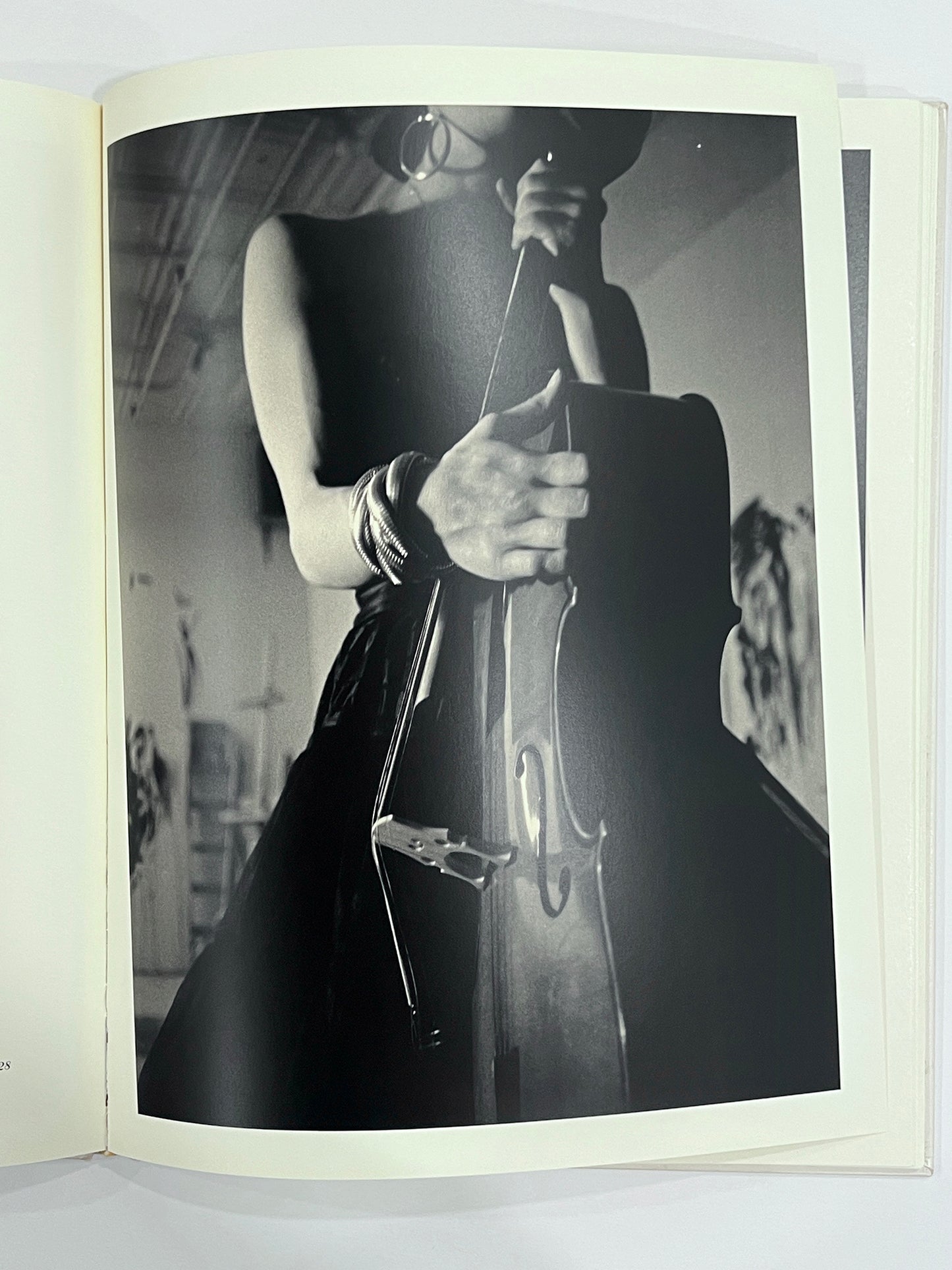 DAVID SALLE photographs 1980-1990