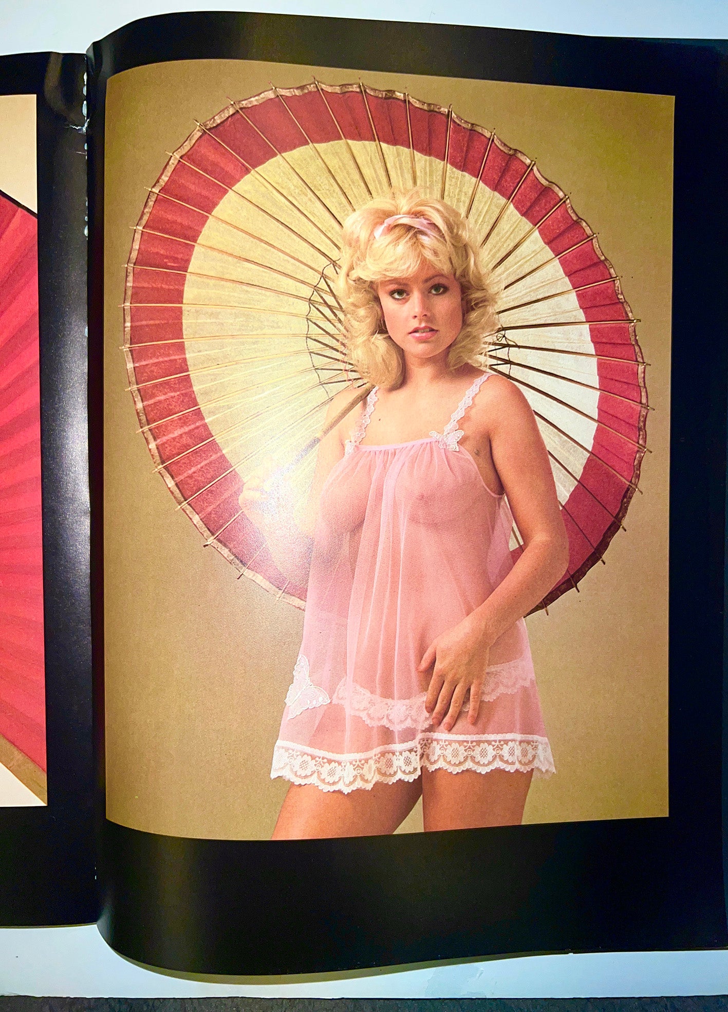 VISUAL BOOKS .GRANDI LIBRI DI EROTICA VOLUME 2