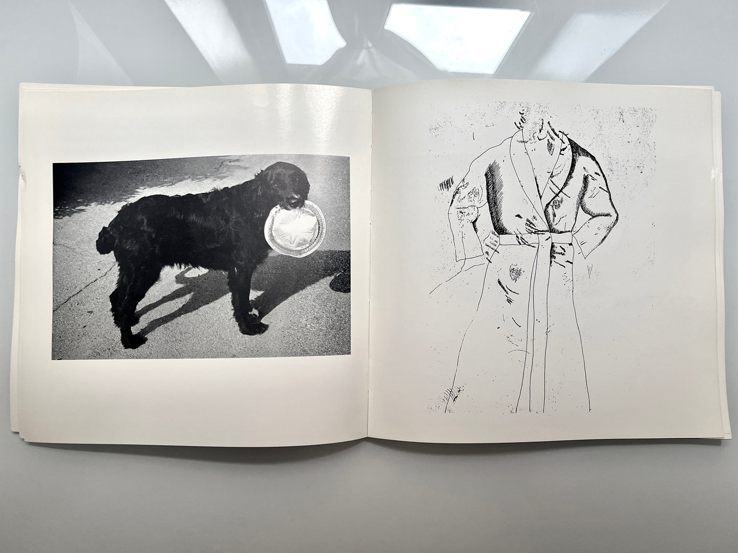 WORK FROM THE SAME HOUSE.LEE FRIEDLANDER & JIM DINE