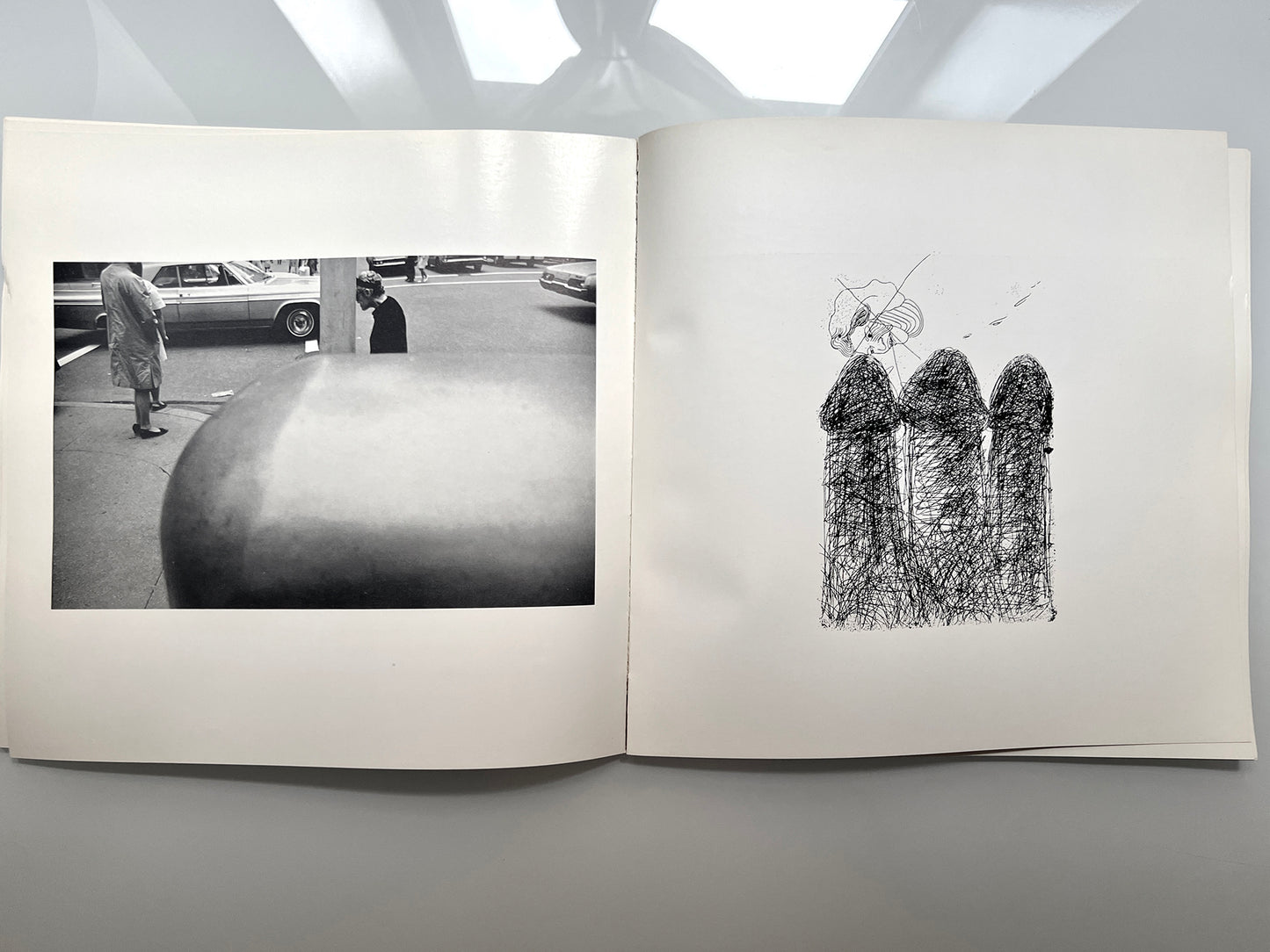 WORK FROM THE SAME HOUSE.LEE FRIEDLANDER & JIM DINE