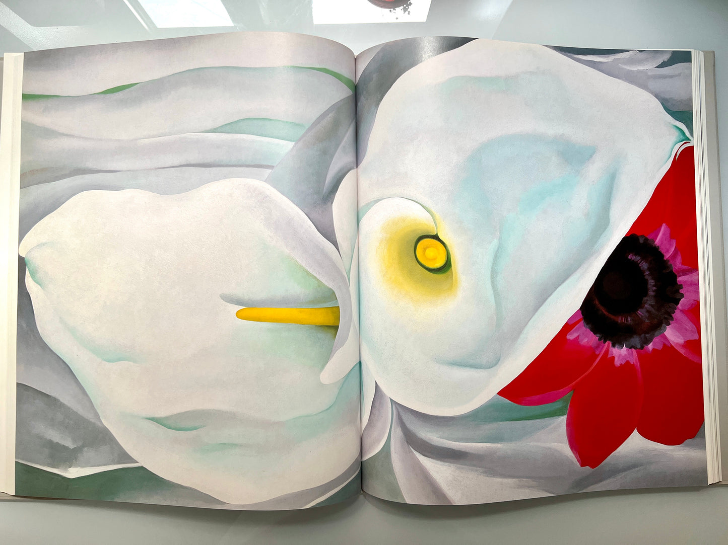 GEORGIA O’KEEFFE 100 FLOWERS