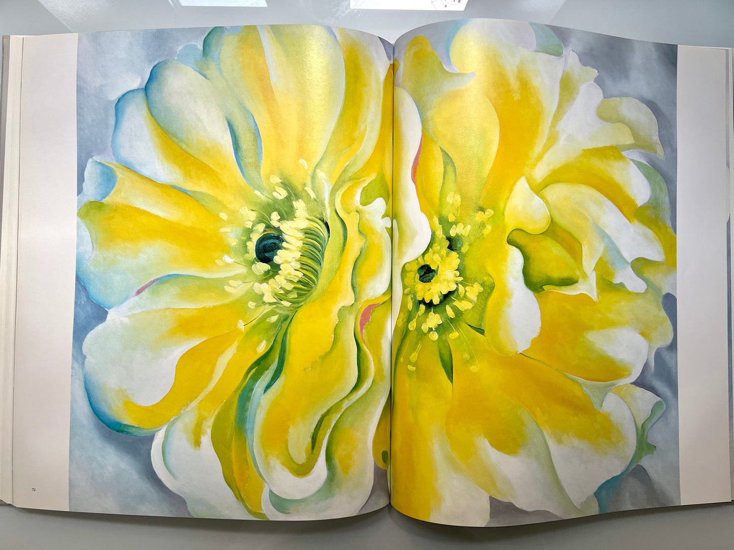GEORGIA O’KEEFFE 100 FLOWERS