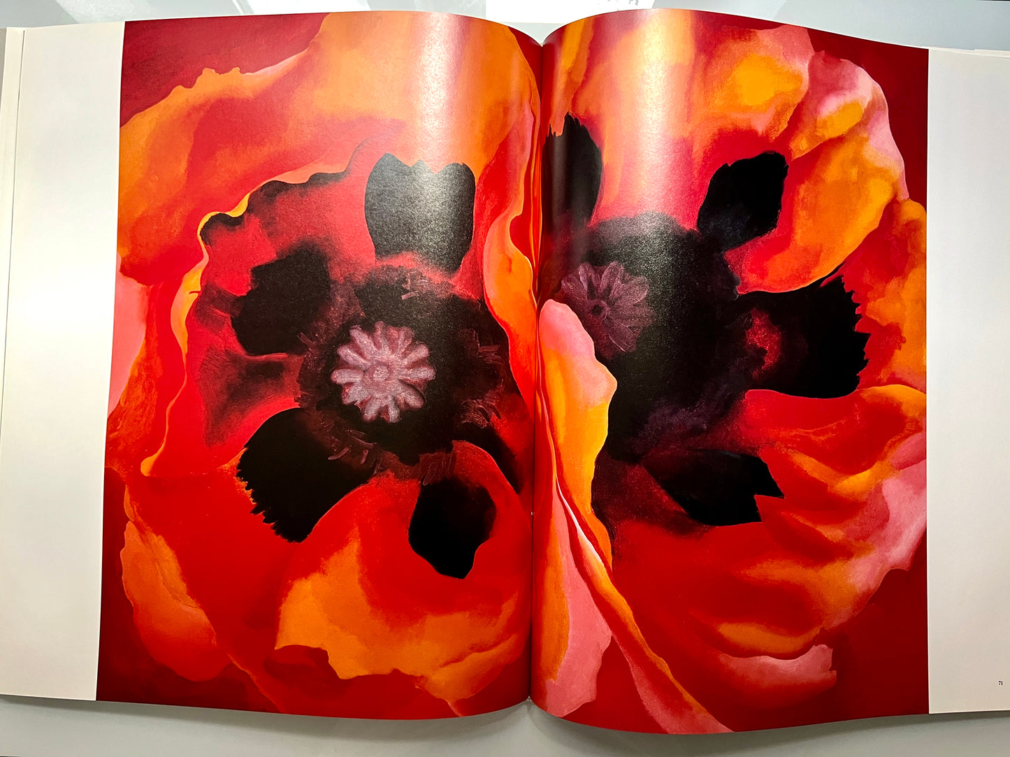 GEORGIA O’KEEFFE 100 FLOWERS