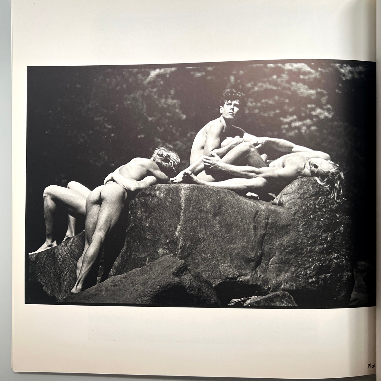 OUT OF THE STUDIO.TOM BIANCHI