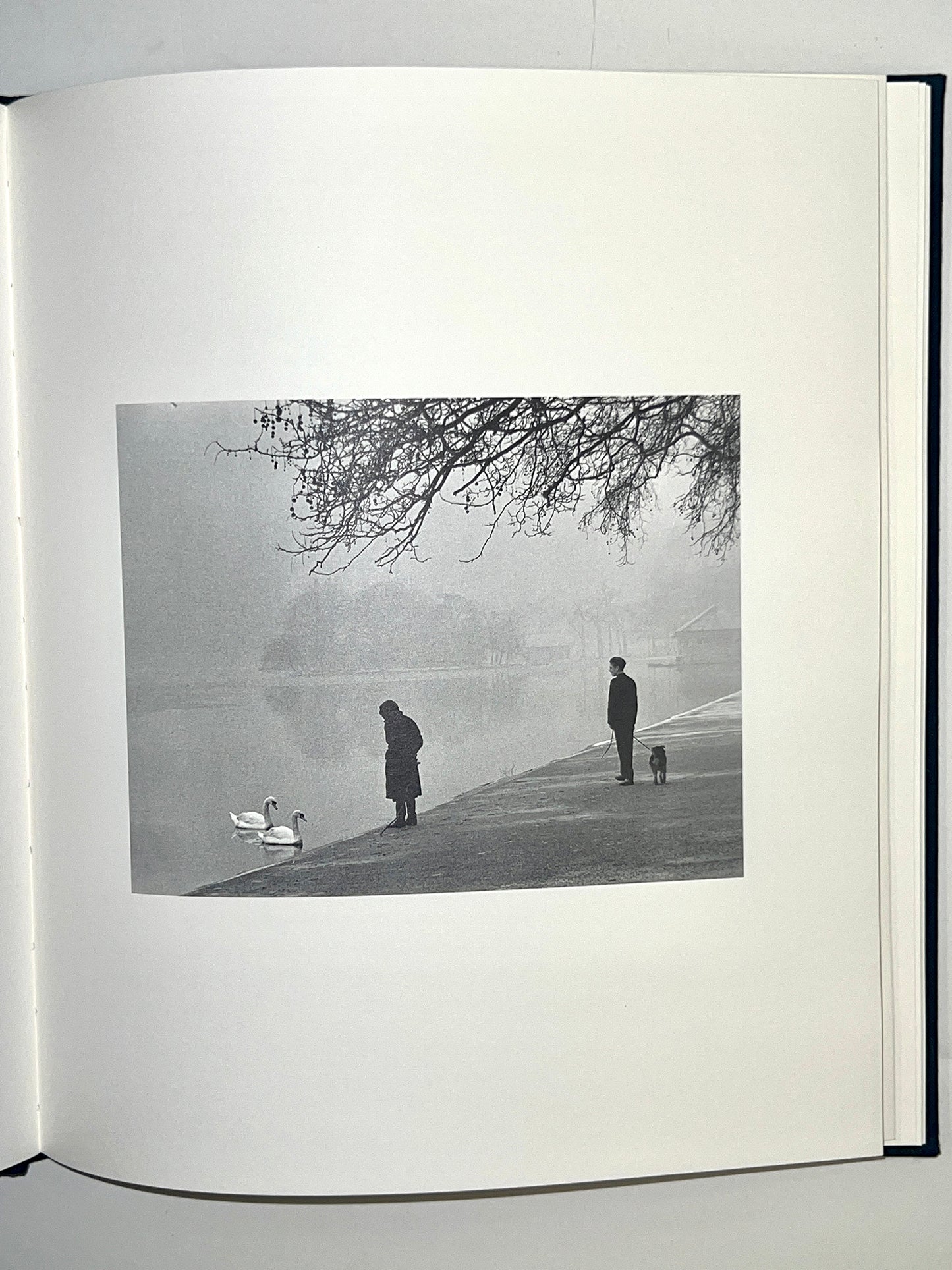 CORNELL CAPA.Peter FETTERMAN gallery