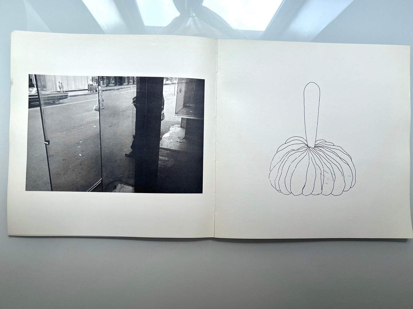 WORK FROM THE SAME HOUSE.LEE FRIEDLANDER & JIM DINE