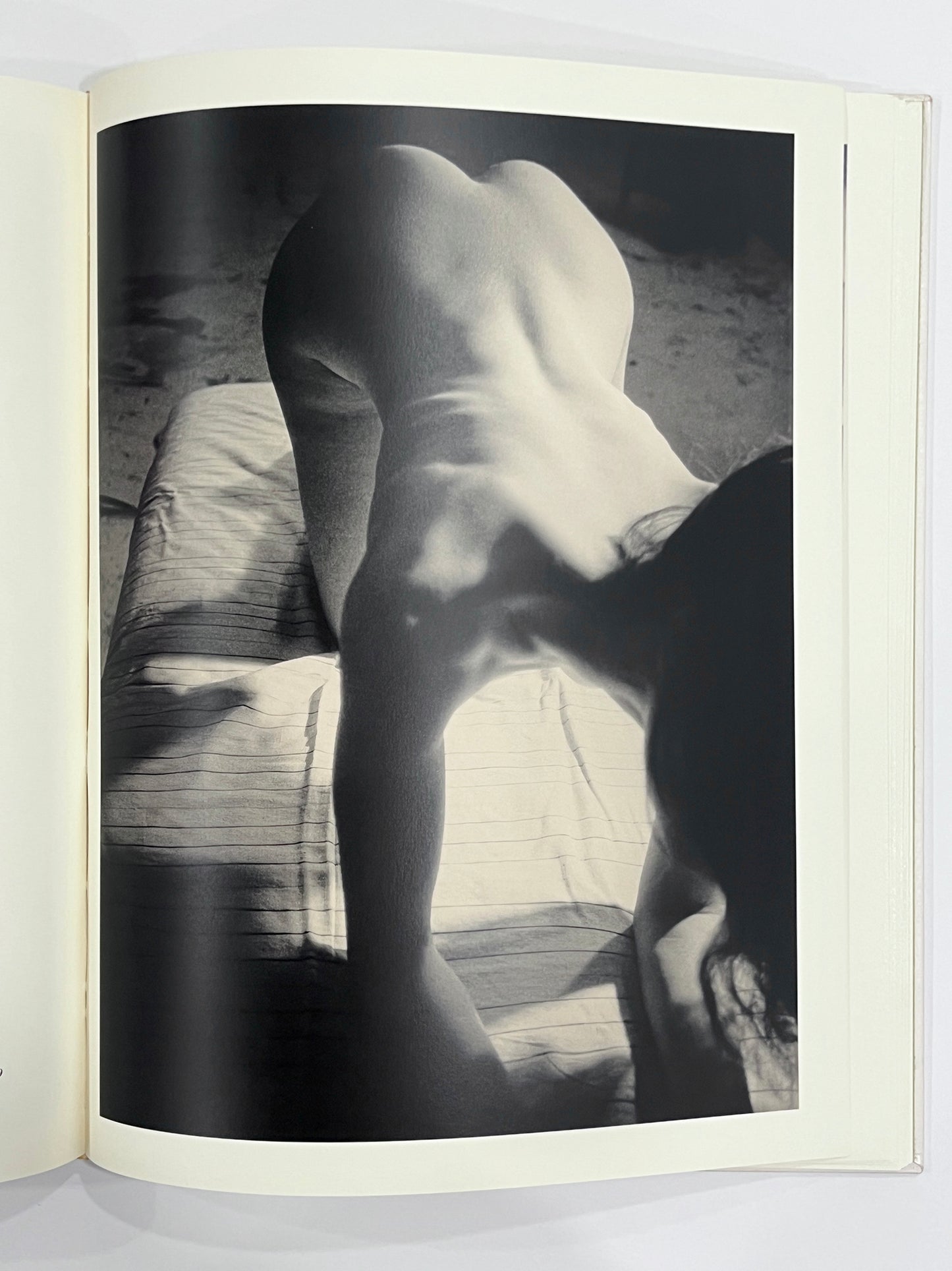 DAVID SALLE photographs 1980-1990