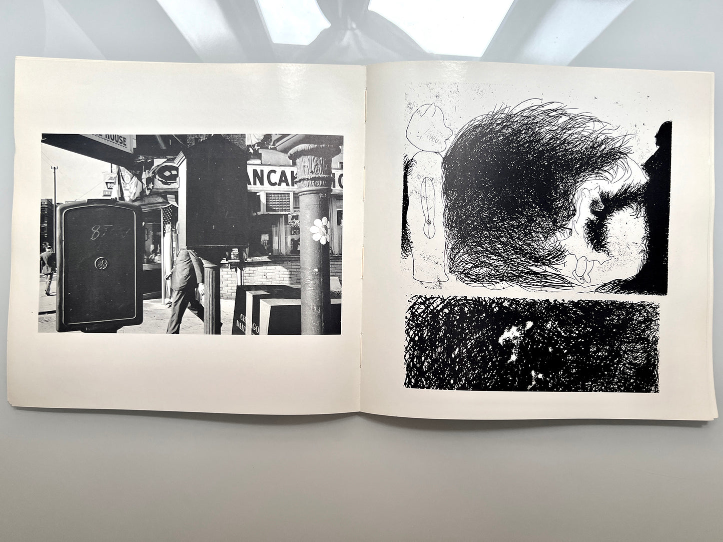 WORK FROM THE SAME HOUSE.LEE FRIEDLANDER & JIM DINE