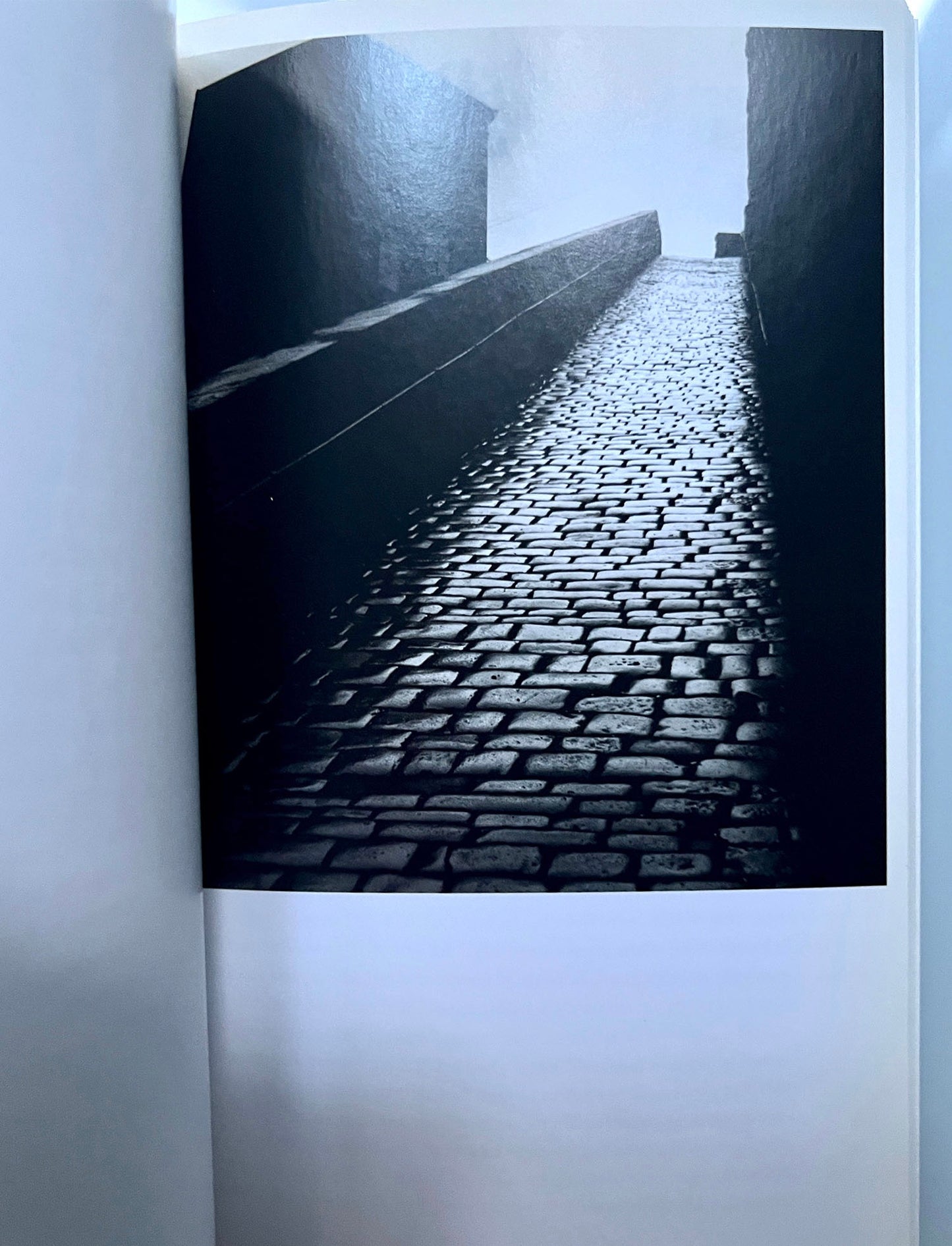 SINGULAR IMAGES.ESSAYS ON REMARKABLE PHOTOGRAPHS