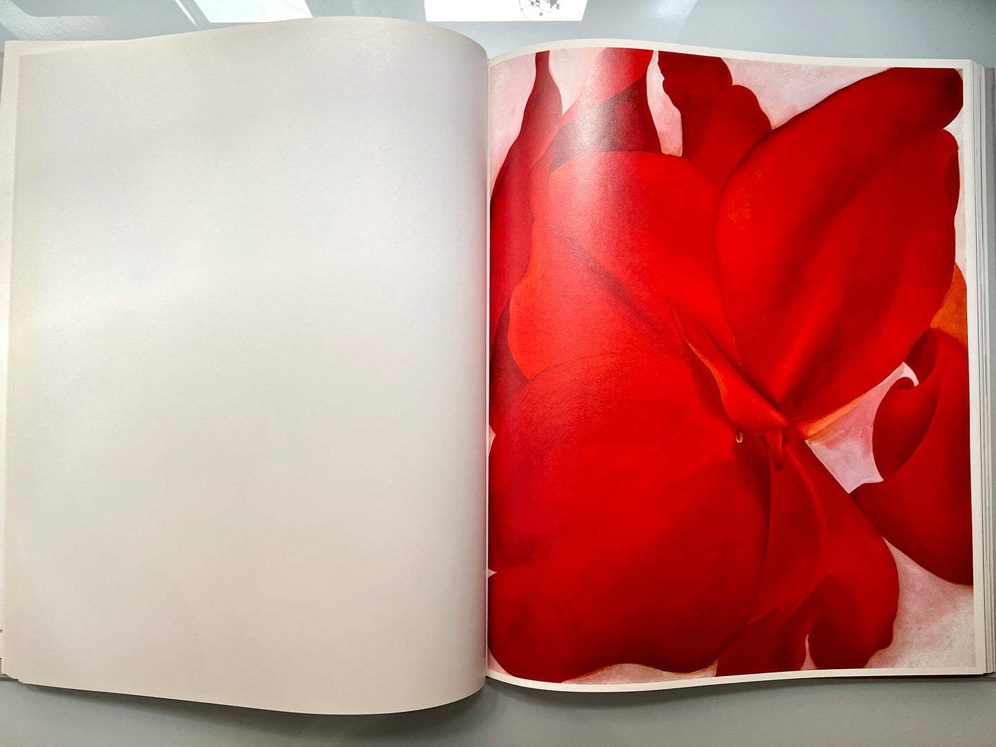 GEORGIA O’KEEFFE 100 FLOWERS