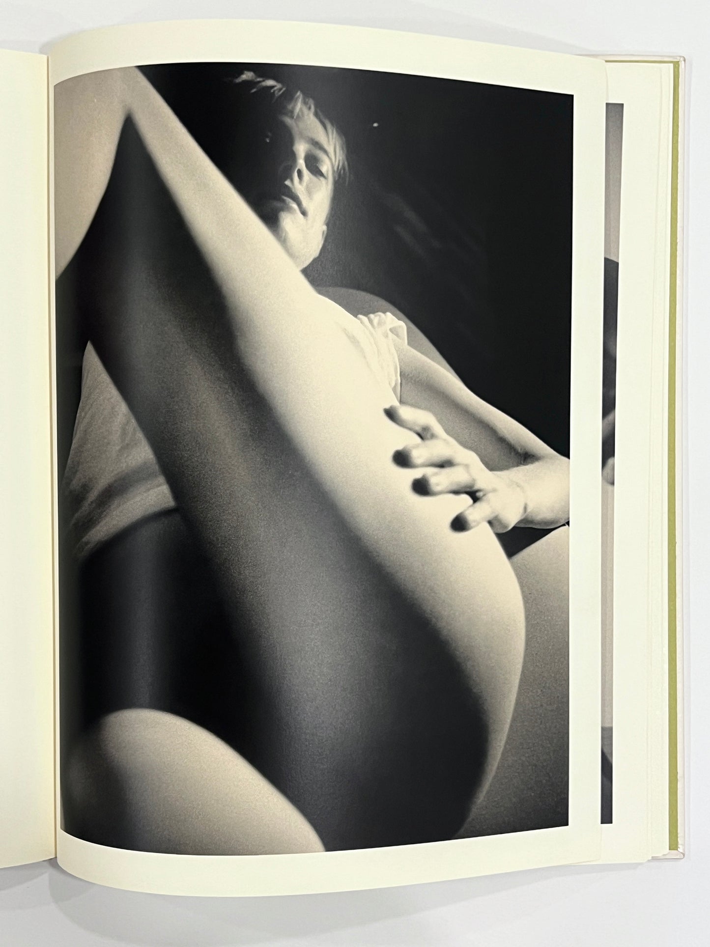 DAVID SALLE photographs 1980-1990