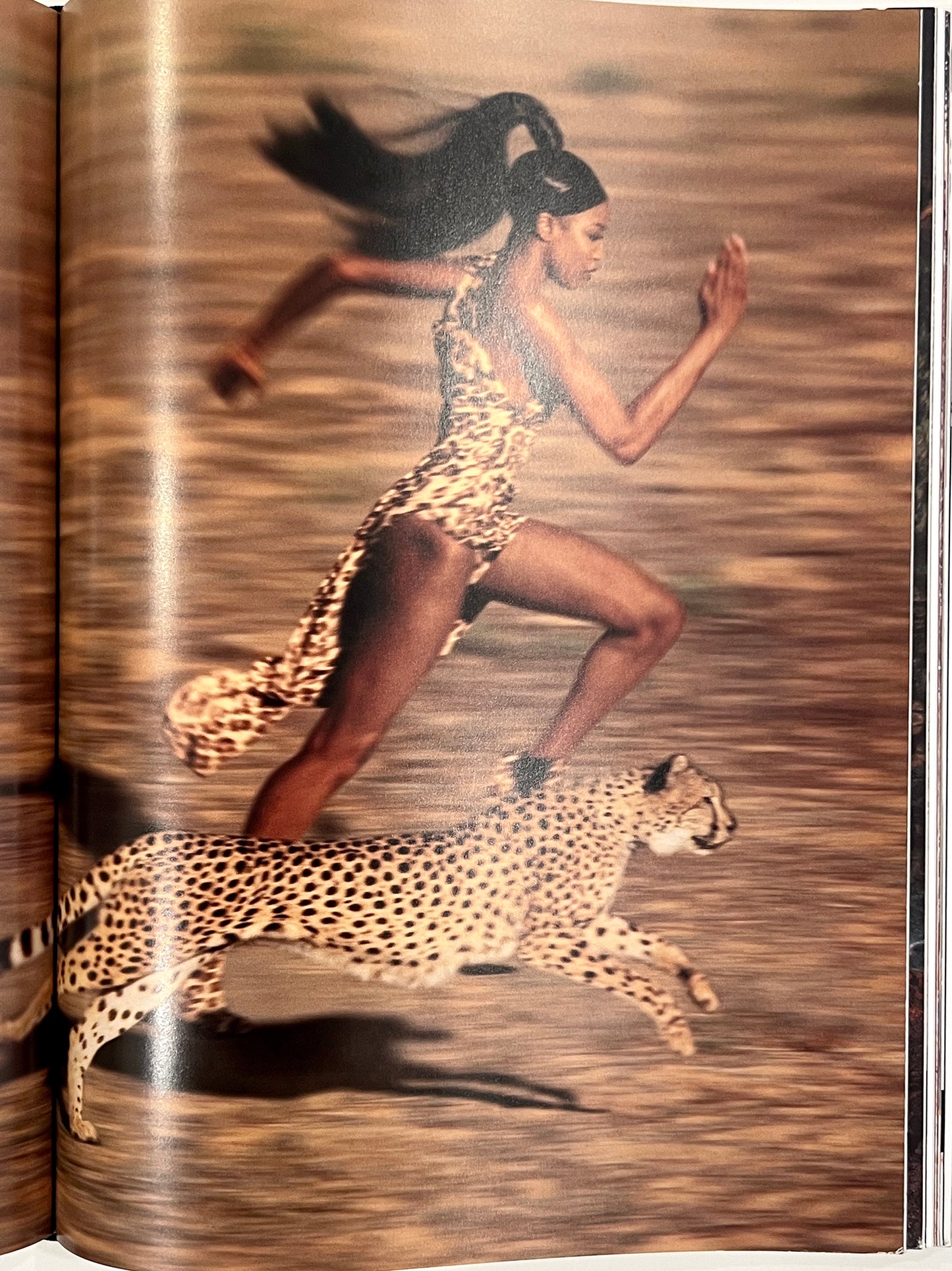 HARPERS BAZAAR MODELS