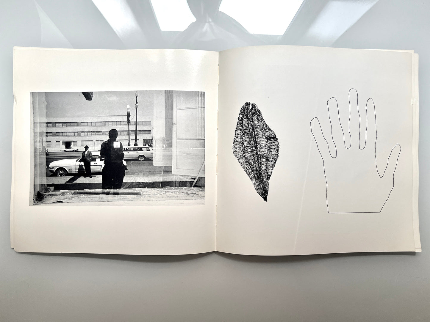 WORK FROM THE SAME HOUSE.LEE FRIEDLANDER & JIM DINE
