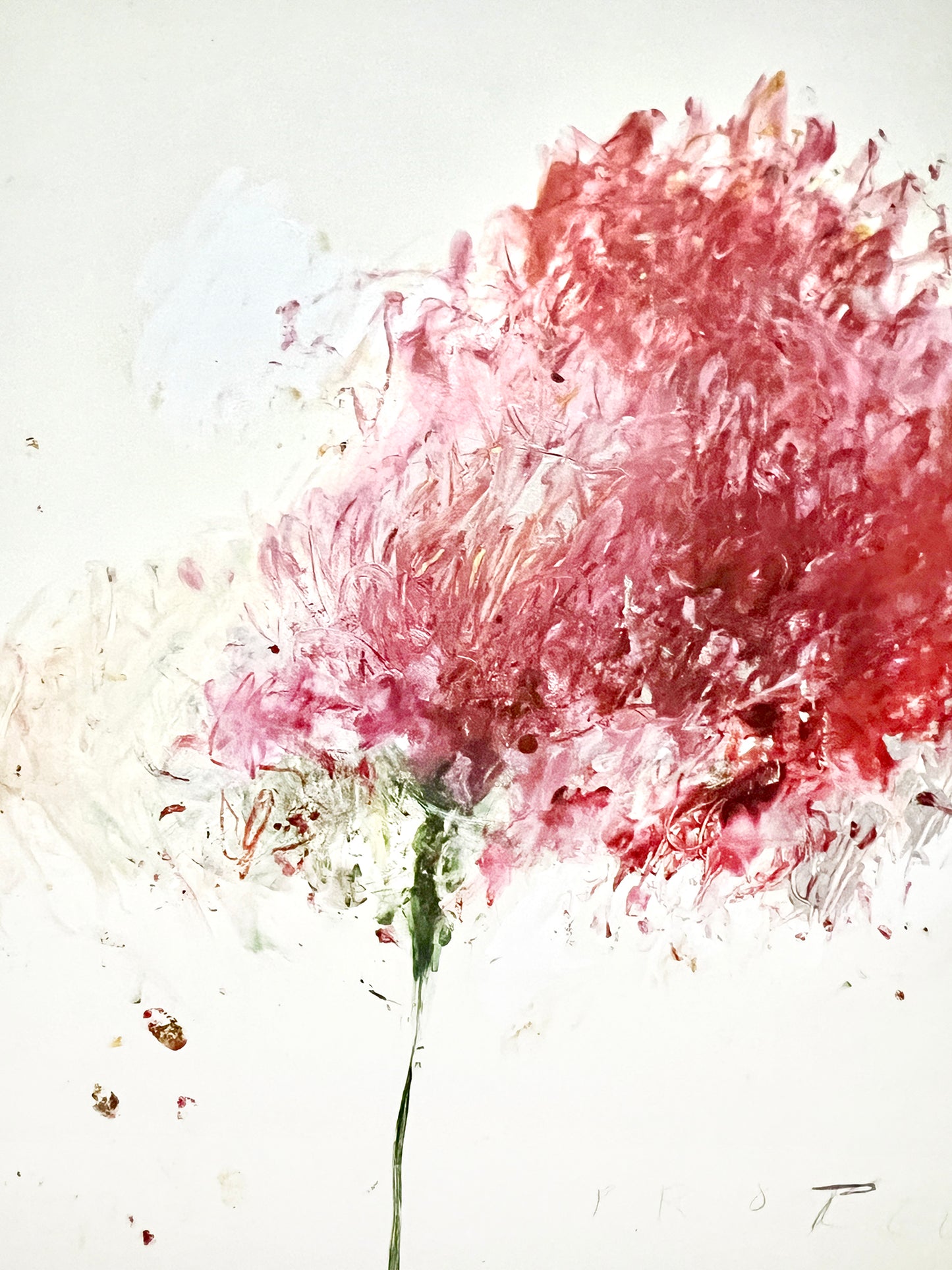 CY TWOMBLY.50 YEARS OF WORKS ON PAPER 1 NEW 1 used