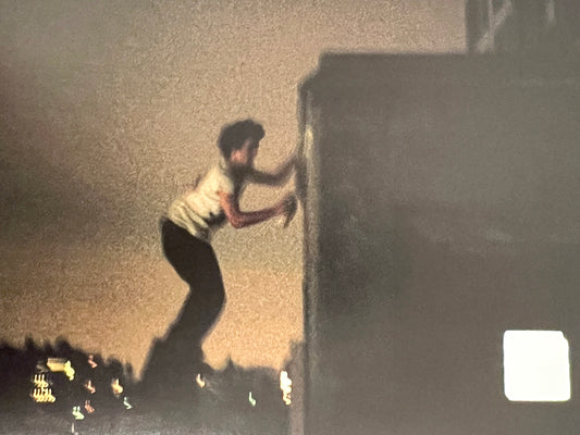 RYAN MCGINLEYIndex books 2003 2ND PRINTING photozinebook