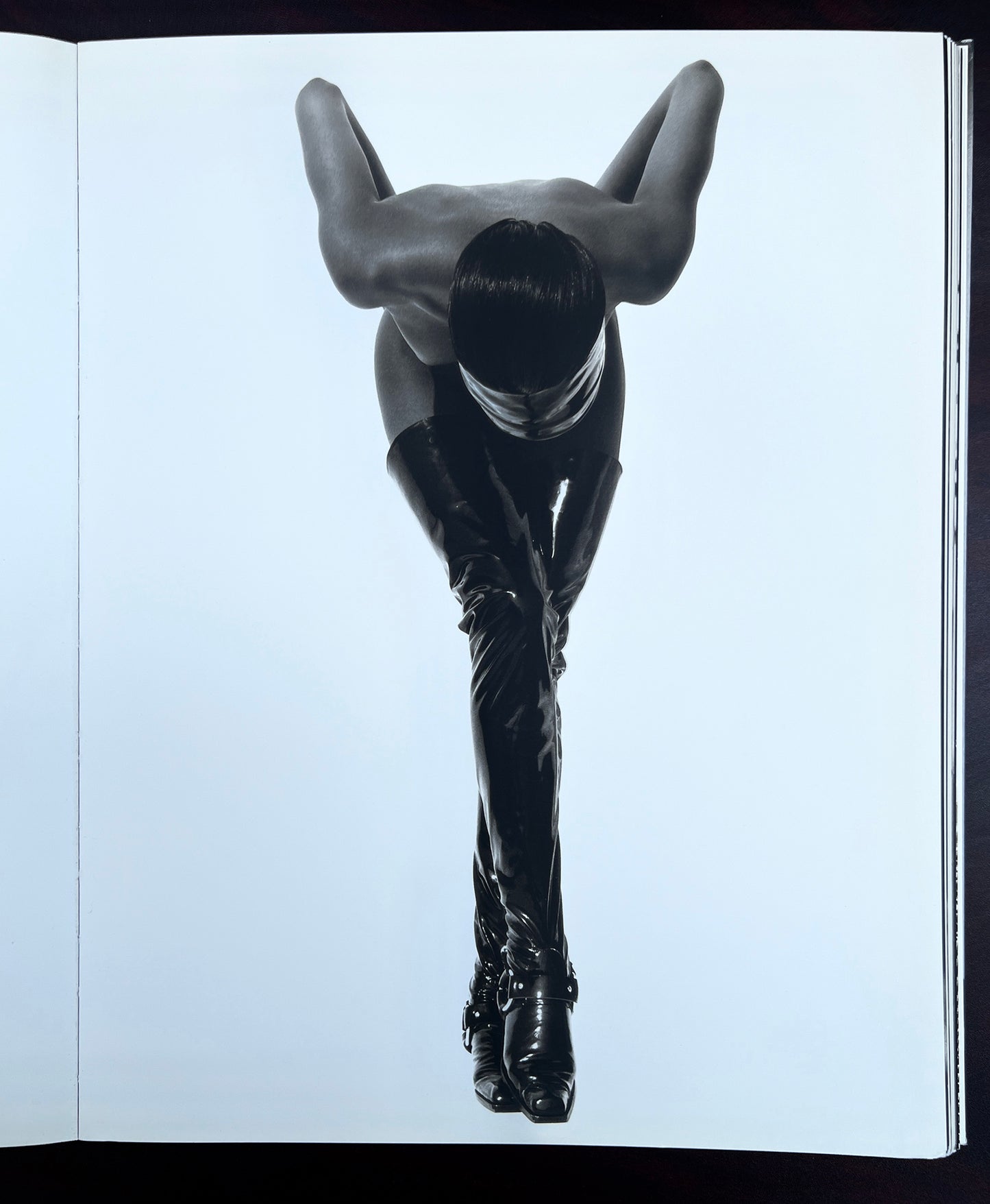 NOTORIOUS.HERB RITTS