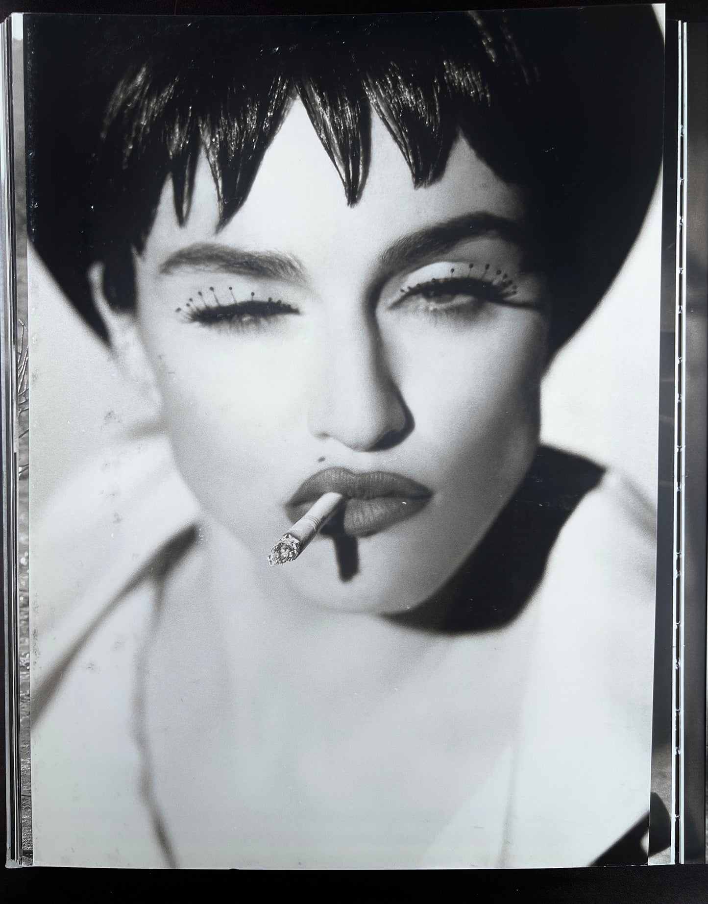 NOTORIOUS.HERB RITTS