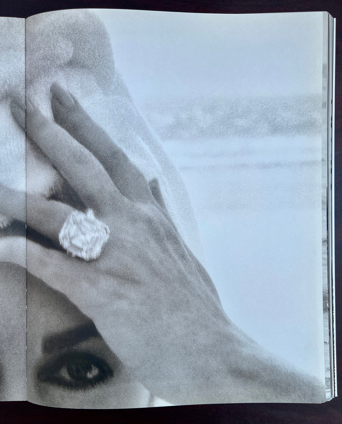 NOTORIOUS.HERB RITTS