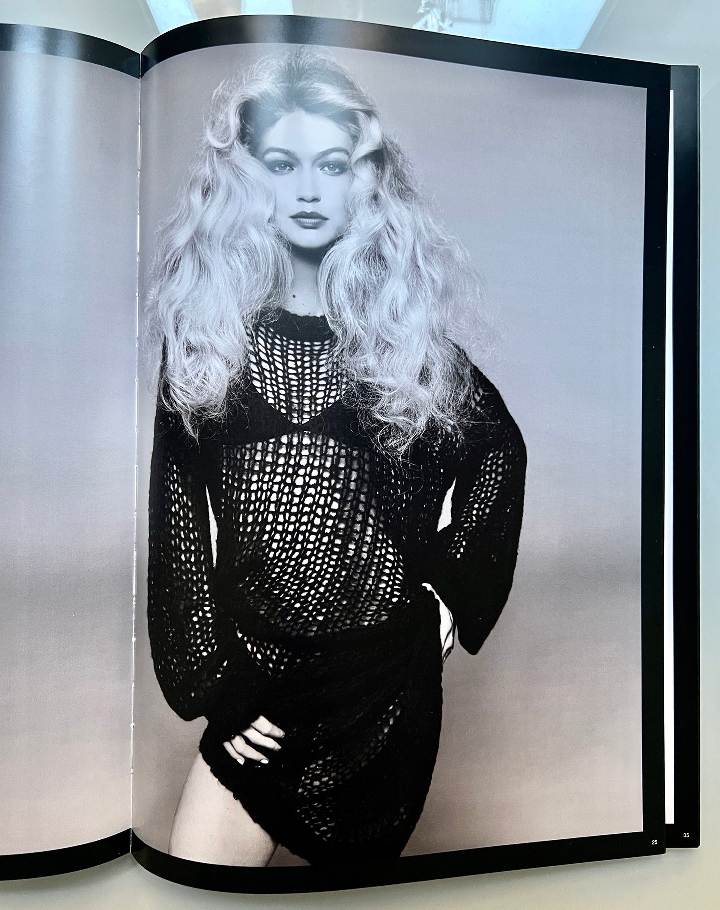 ZARA STEVEN MEISEL LOOKBOOK