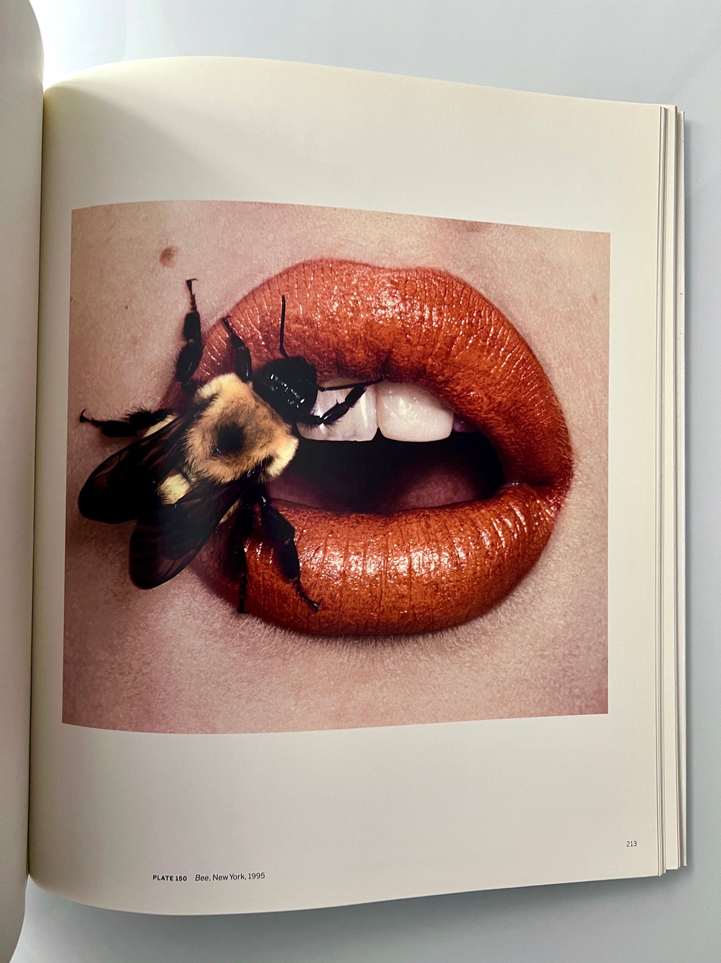 BEYOND BEAUTY IRVING PENN