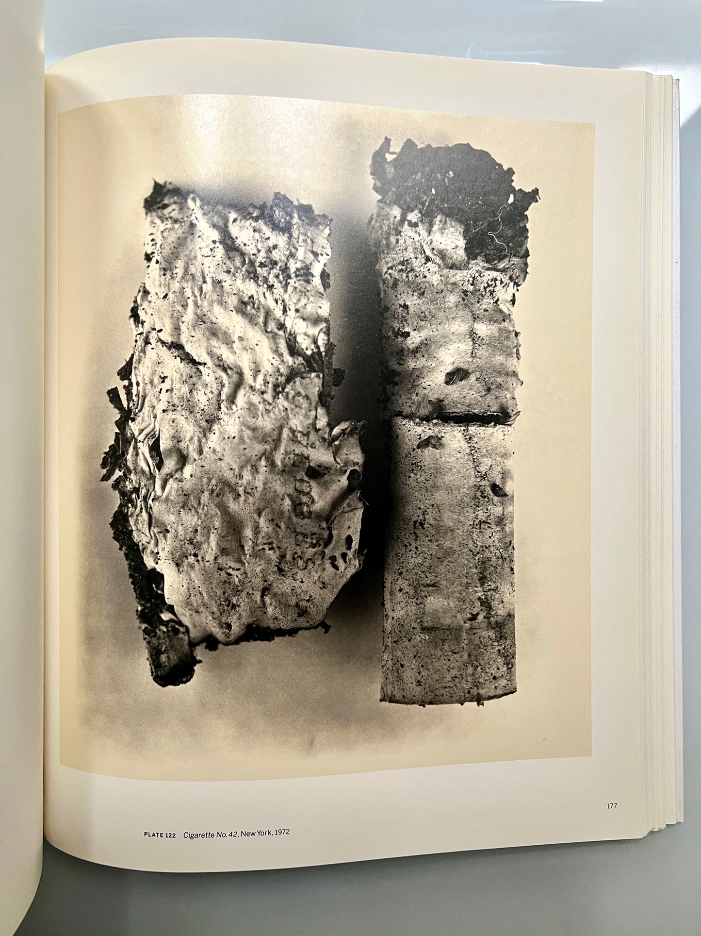 BEYOND BEAUTY IRVING PENN