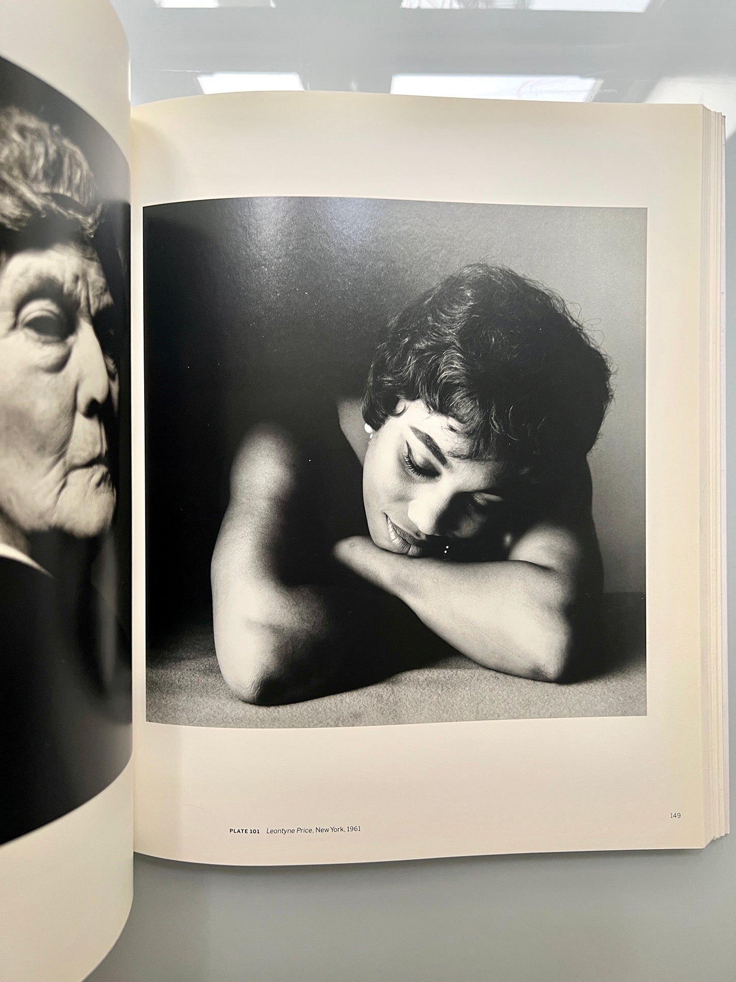 BEYOND BEAUTY IRVING PENN