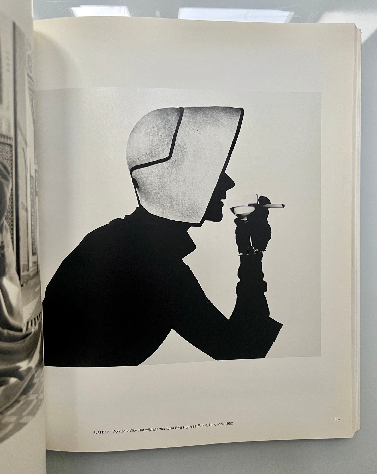 BEYOND BEAUTY IRVING PENN