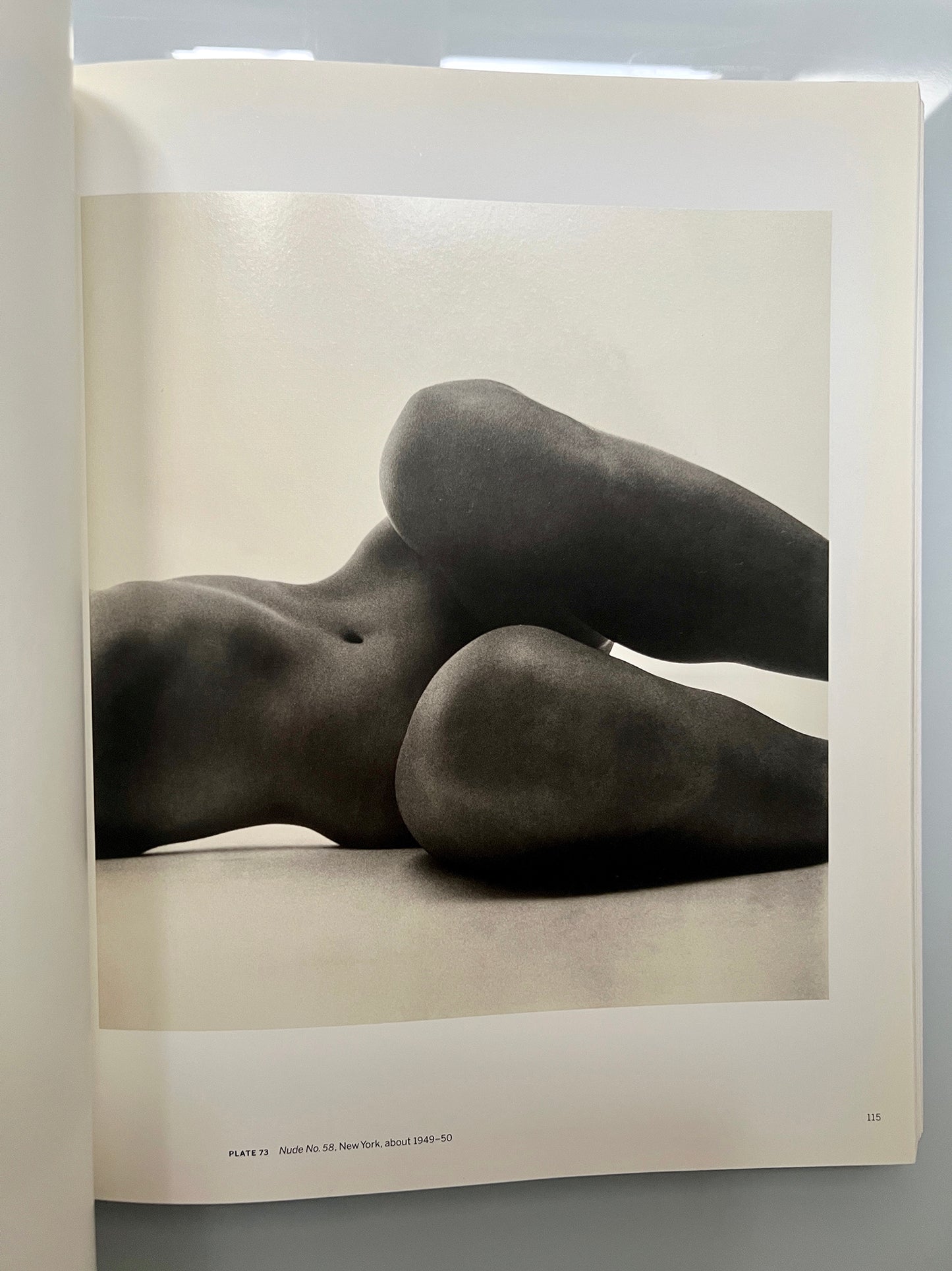 BEYOND BEAUTY IRVING PENN