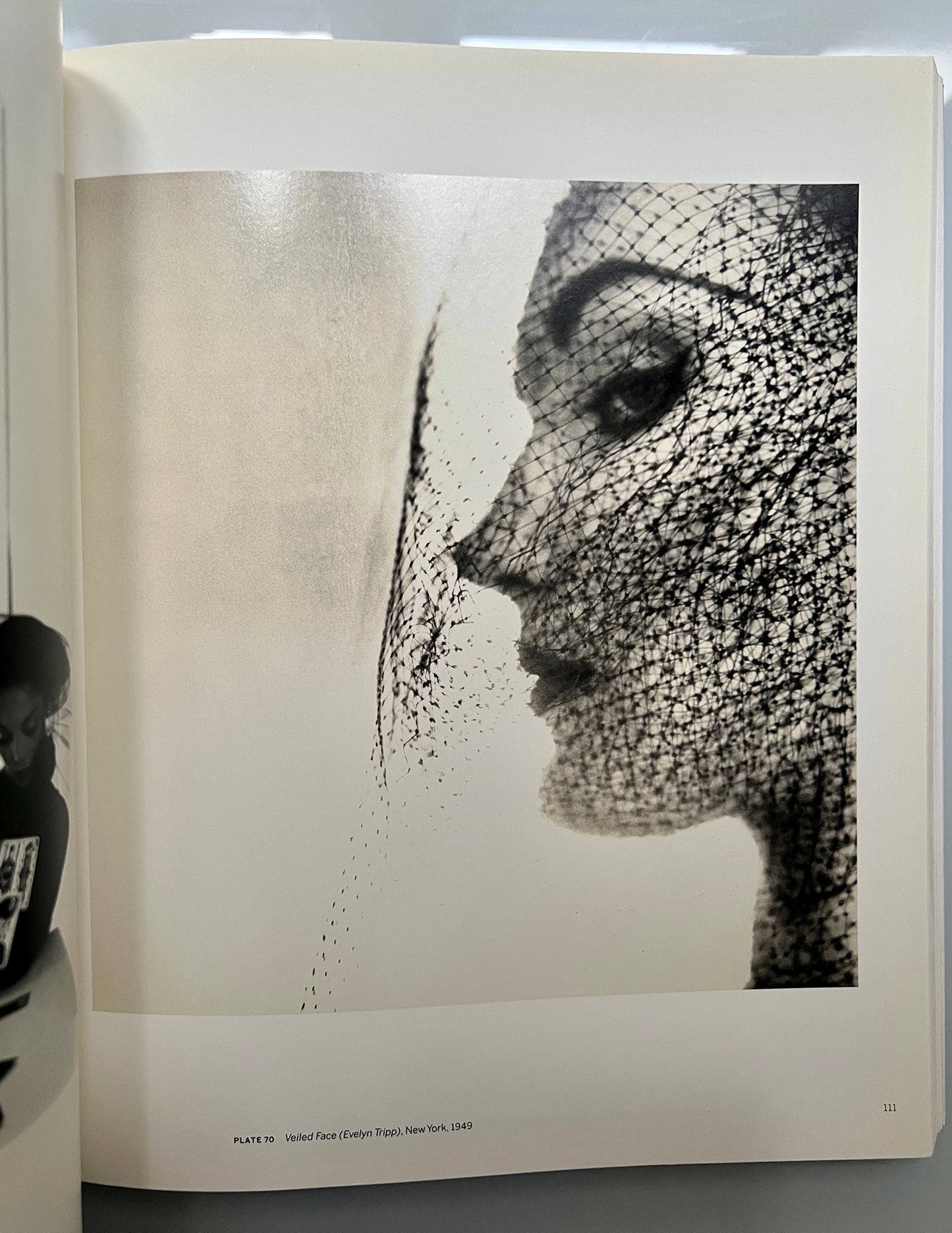 BEYOND BEAUTY IRVING PENN