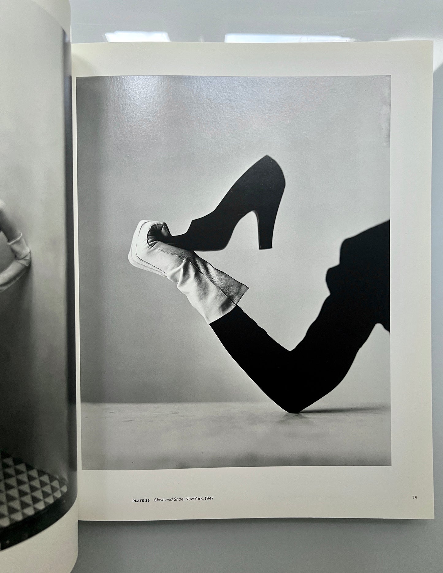 BEYOND BEAUTY IRVING PENN