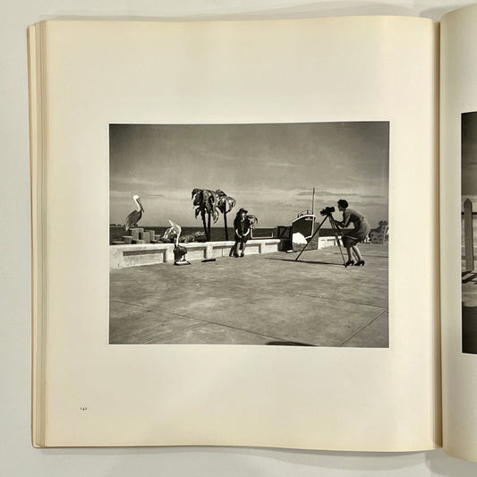WALKER EVANS FIRST AND LAST FIRST EDITION 1978 softcover