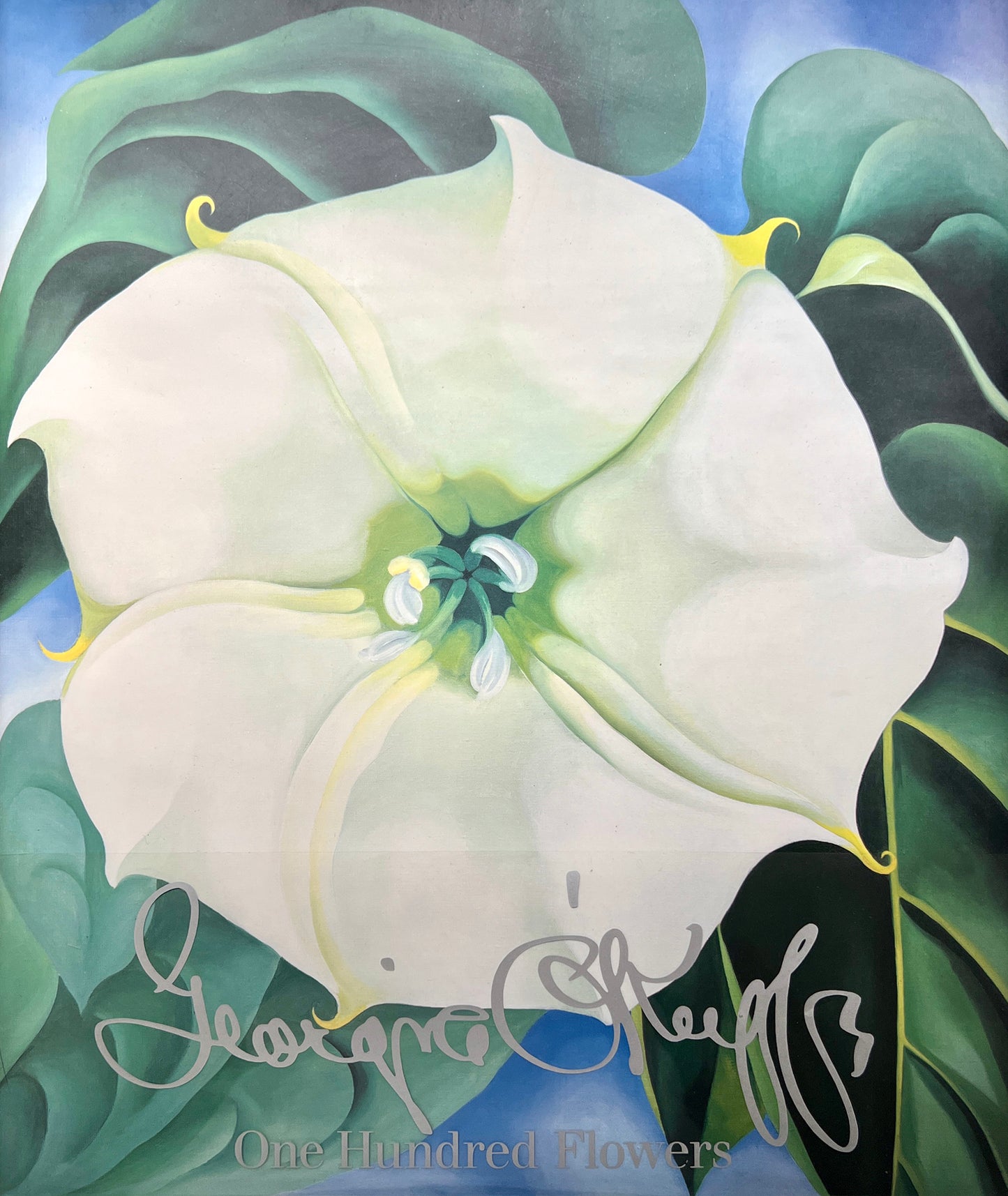 GEORGIA O’KEEFFE 100 FLOWERS