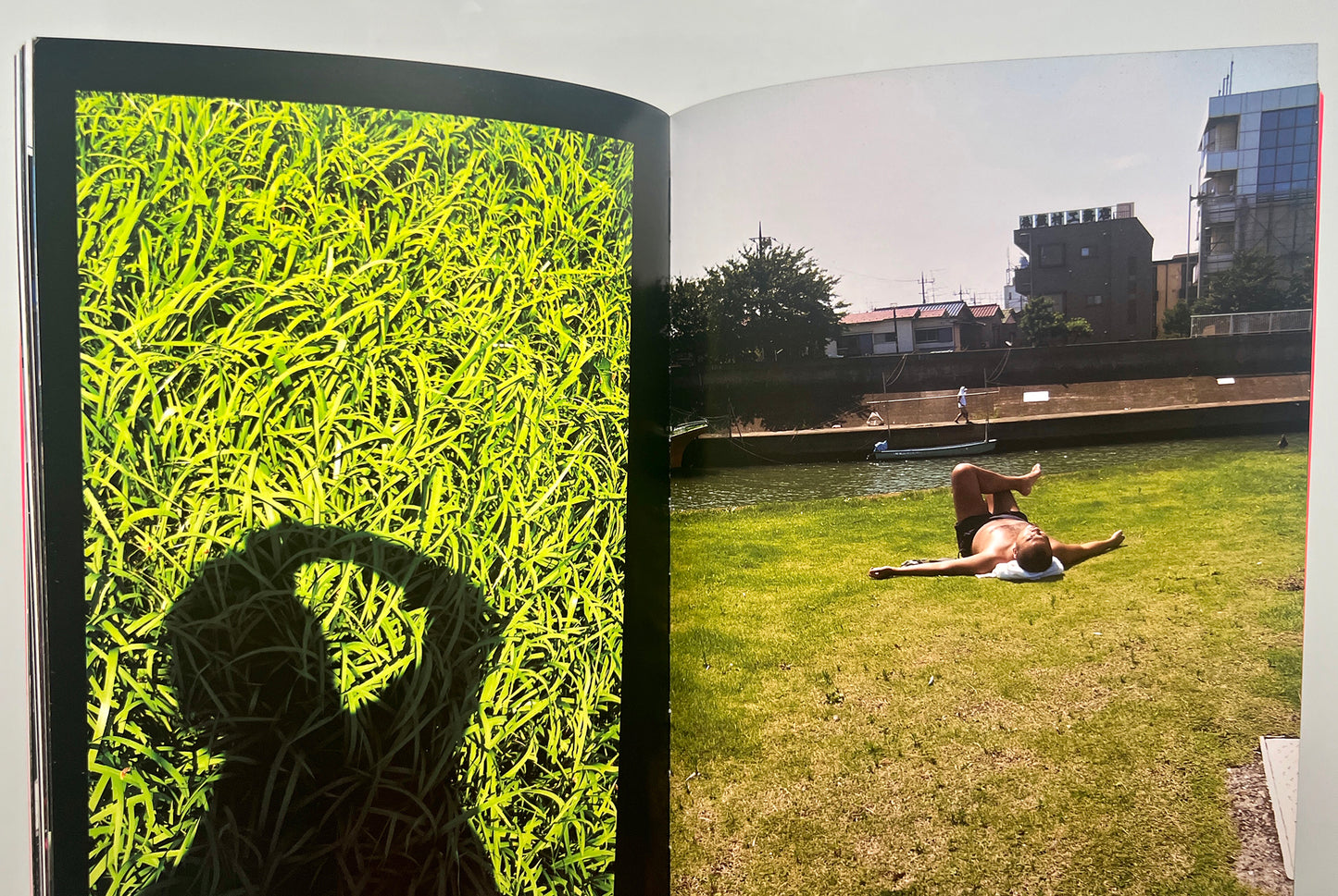 HOW I TAKE PHOTOGRAPHS DAIDO MORIYAMI