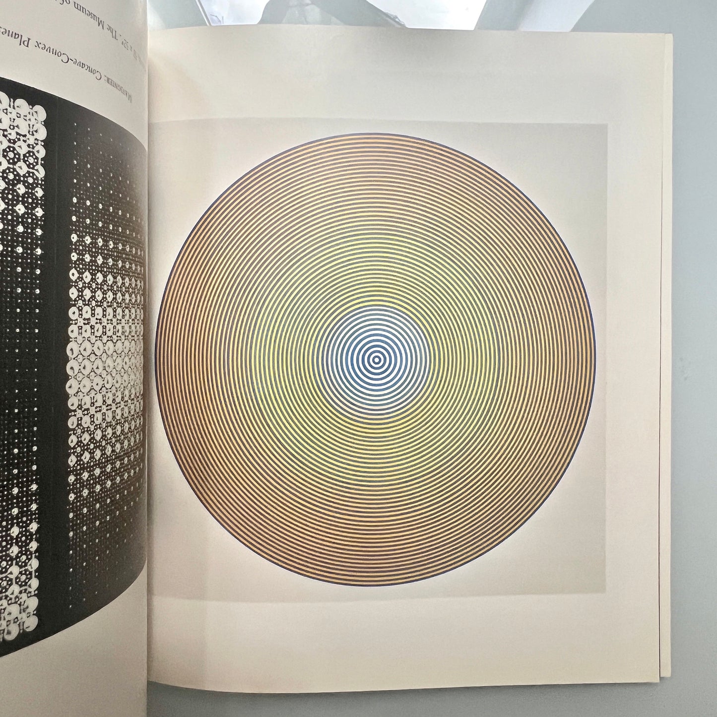 THE RESPONSIVE EYE.WILLIAM C SEITZ MOMA
