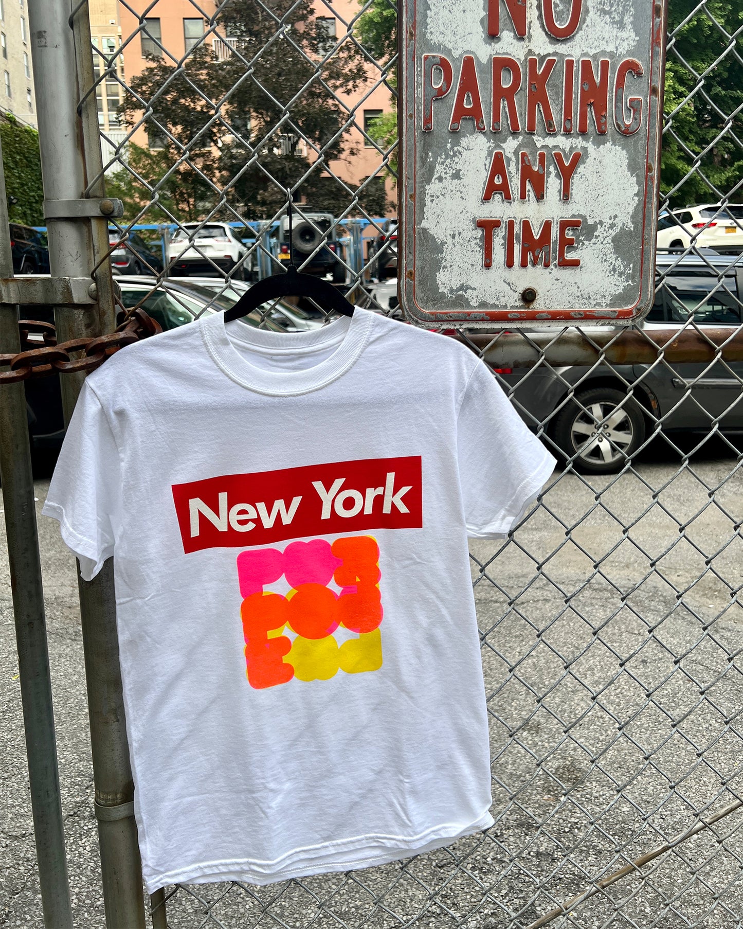 TOURIST PURPOSE EDITION T