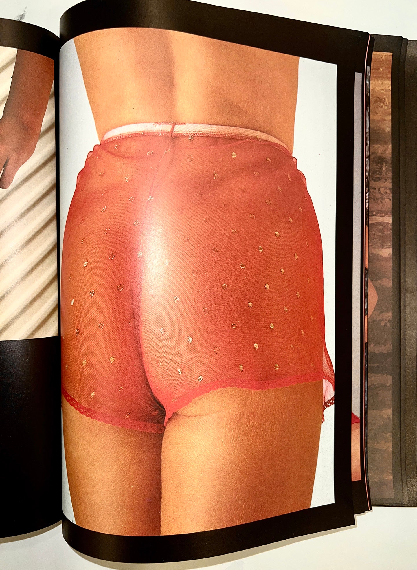 VISUAL BOOKS .GRANDI LIBRI DI EROTICA VOLUME 2
