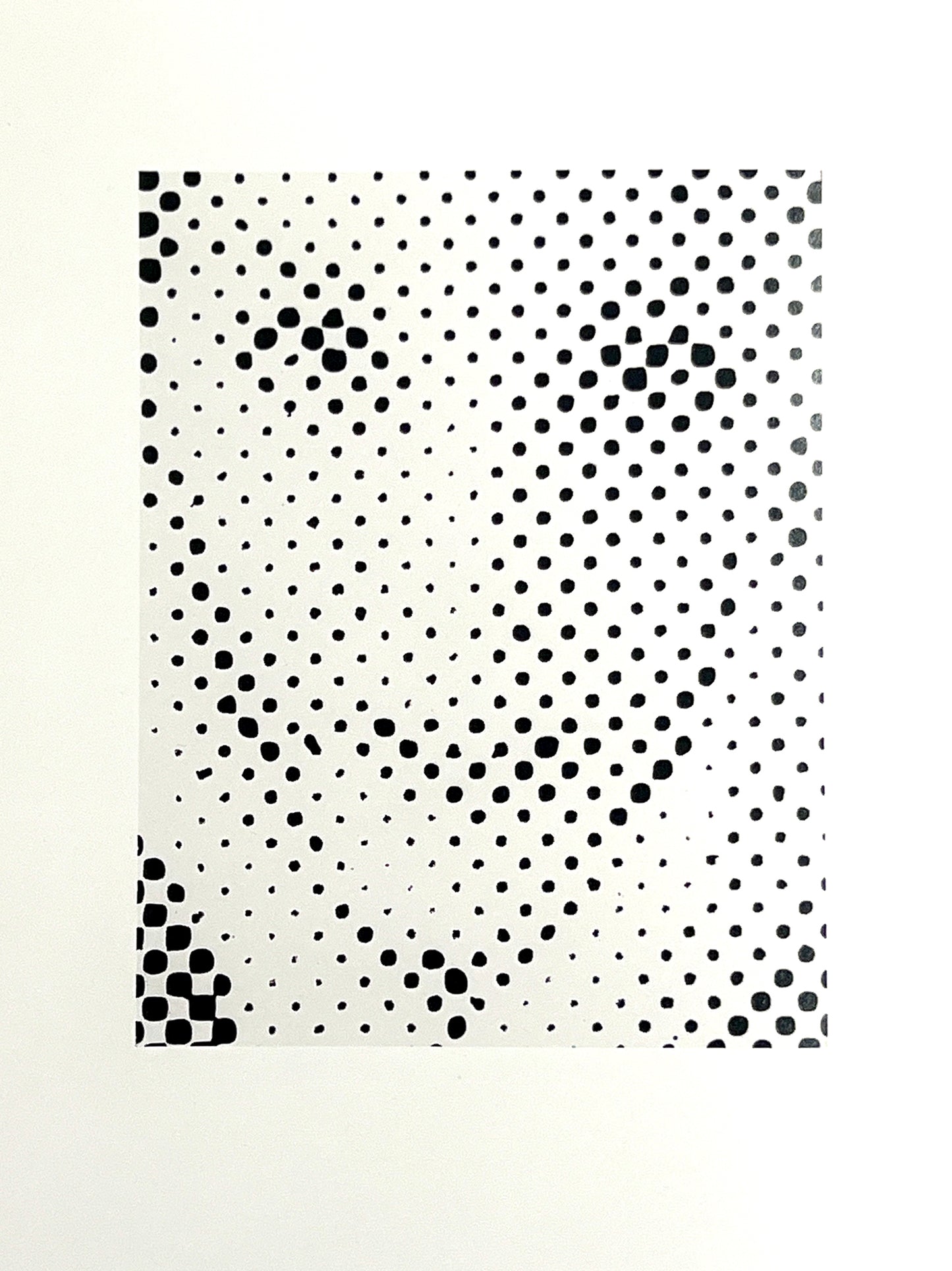 BLUMENFELD.A PASSION FOR BEAUTY